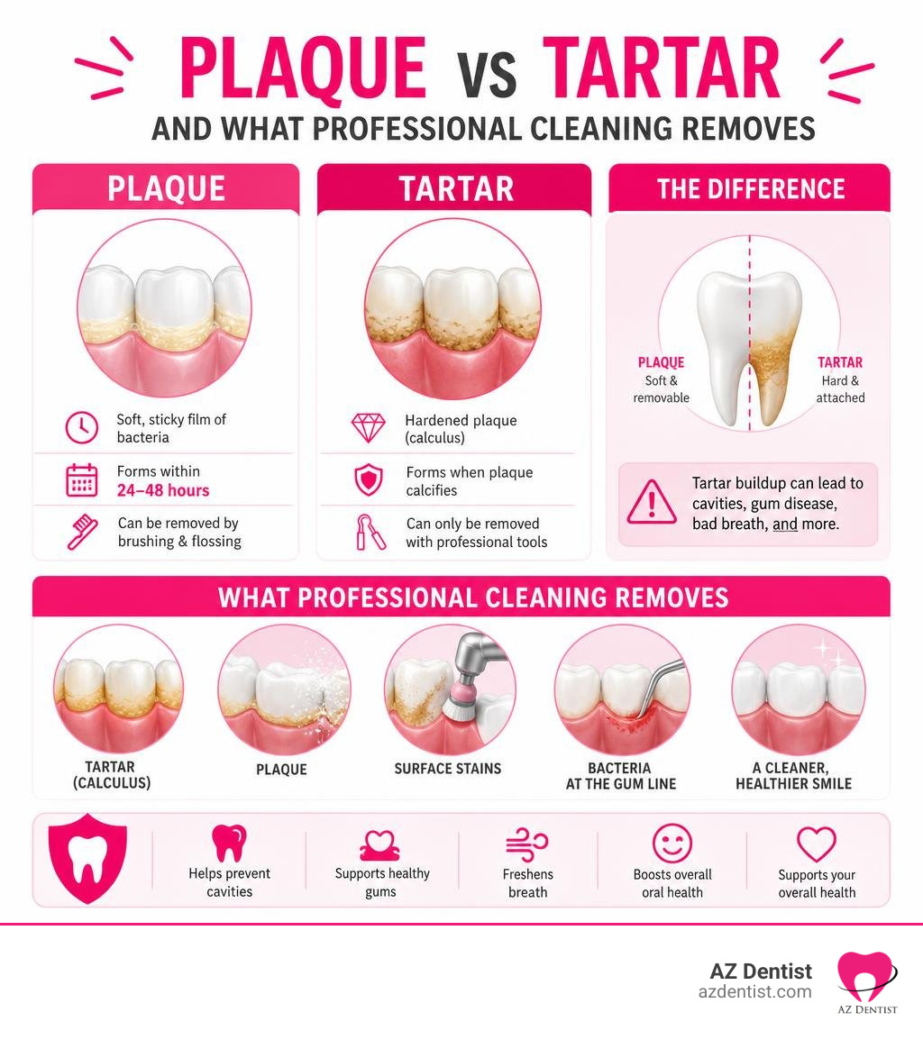 infographic showing plaque vs tartar buildup and what professional cleaning removes infographic