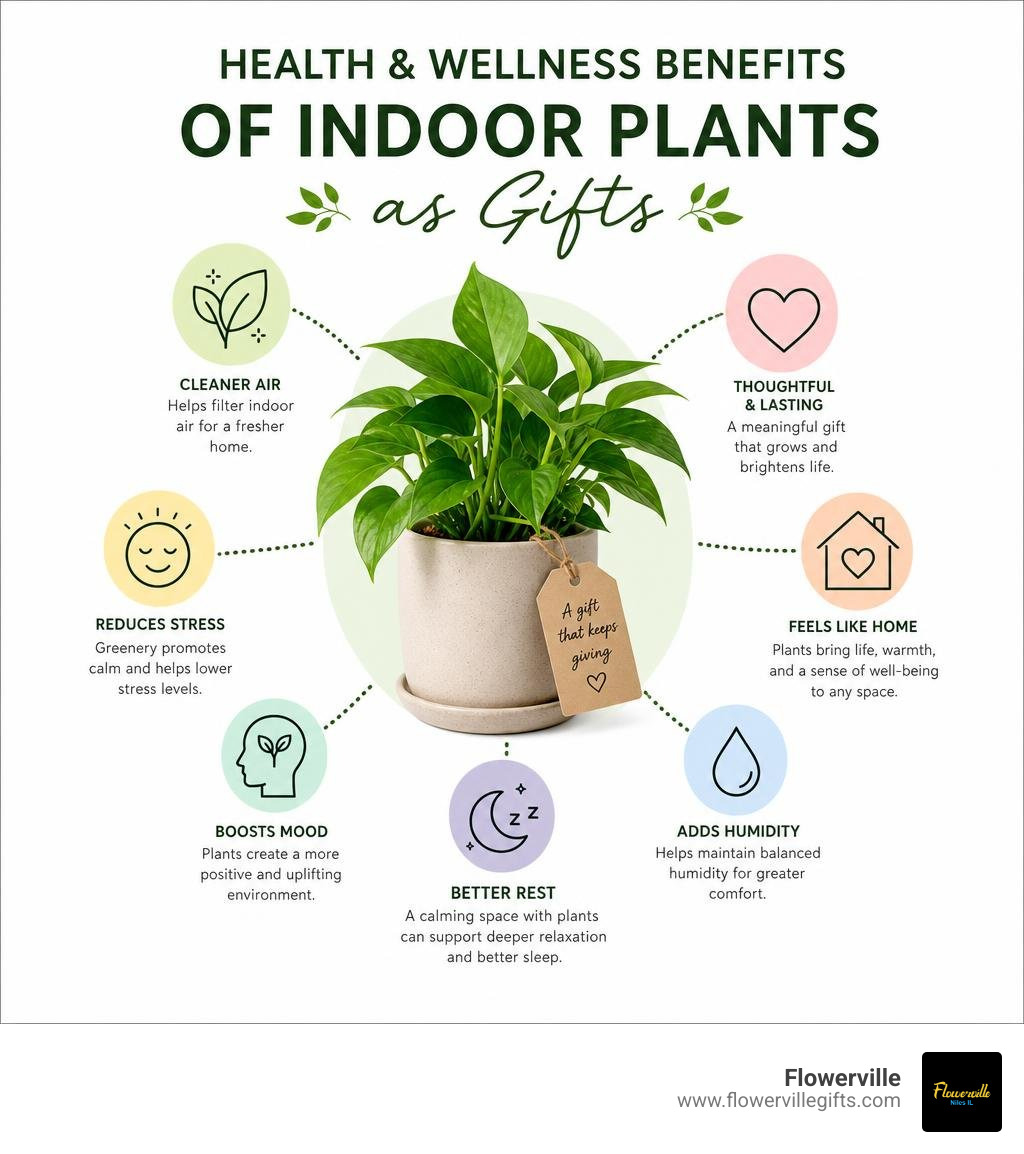 Infographic showing health and wellness benefits of indoor plants as gifts infographic