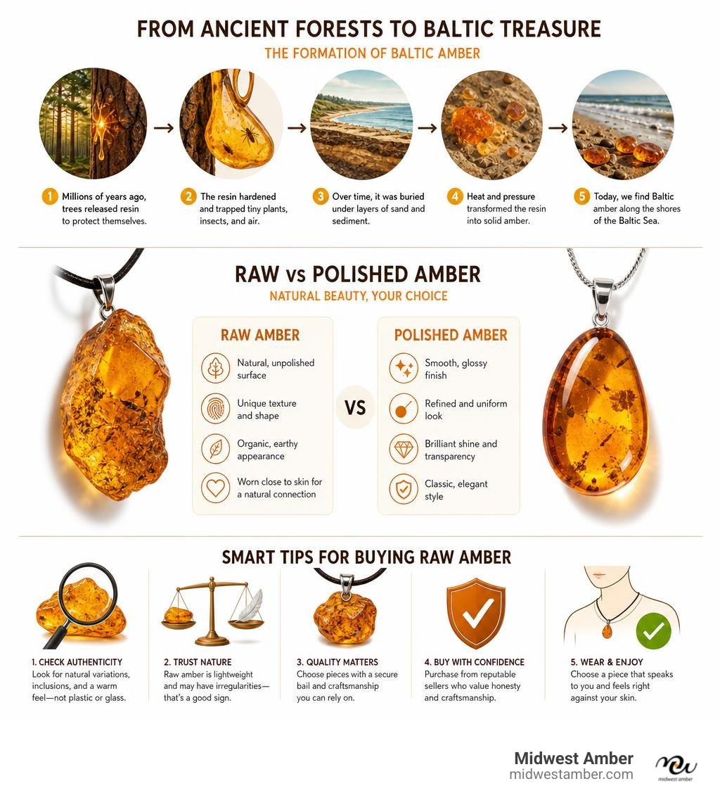 Infographic showing Baltic amber formation, raw vs polished differences, and key buying tips infographic