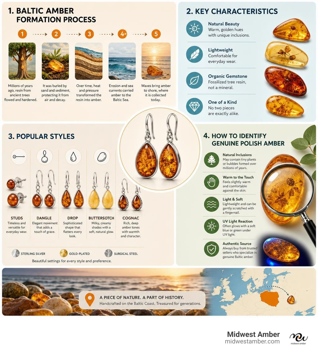 Infographic showing Baltic amber formation process, key characteristics, popular styles, and how to identify genuine Polish