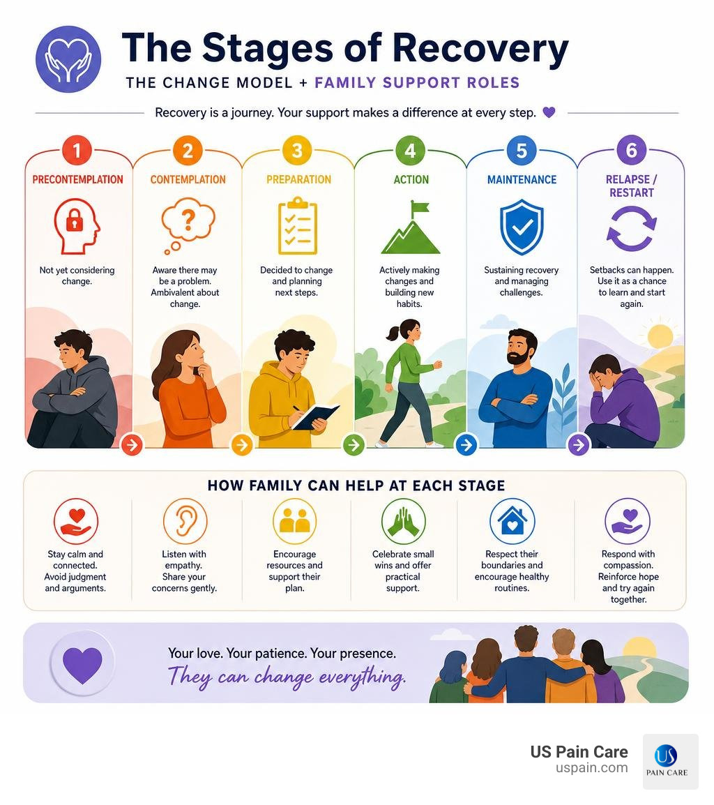 Stages of recovery change model showing precontemplation through maintenance with family support roles infographic