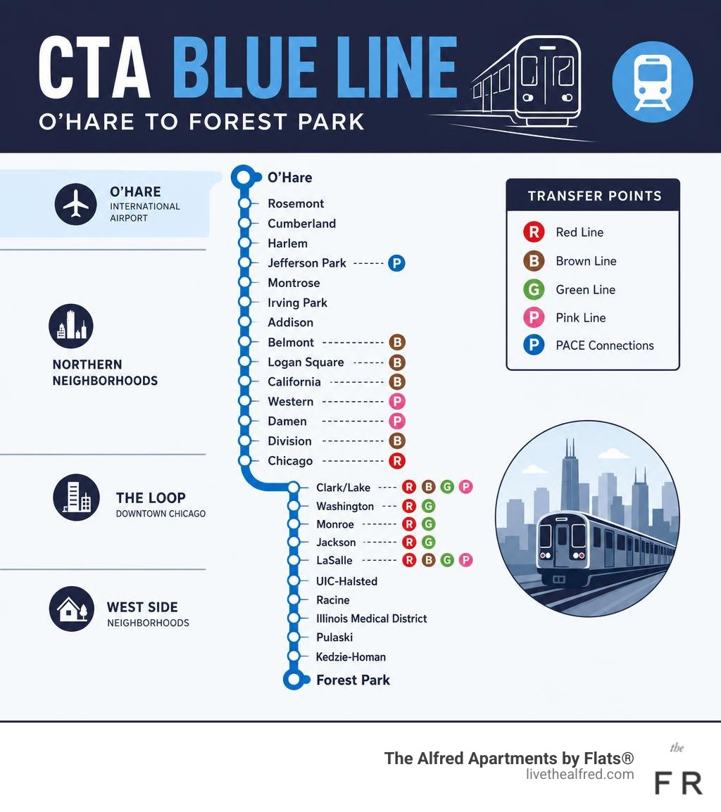 CTA Blue Line route layout infographic showing stations from O'Hare to Forest Park with transfer points infographic