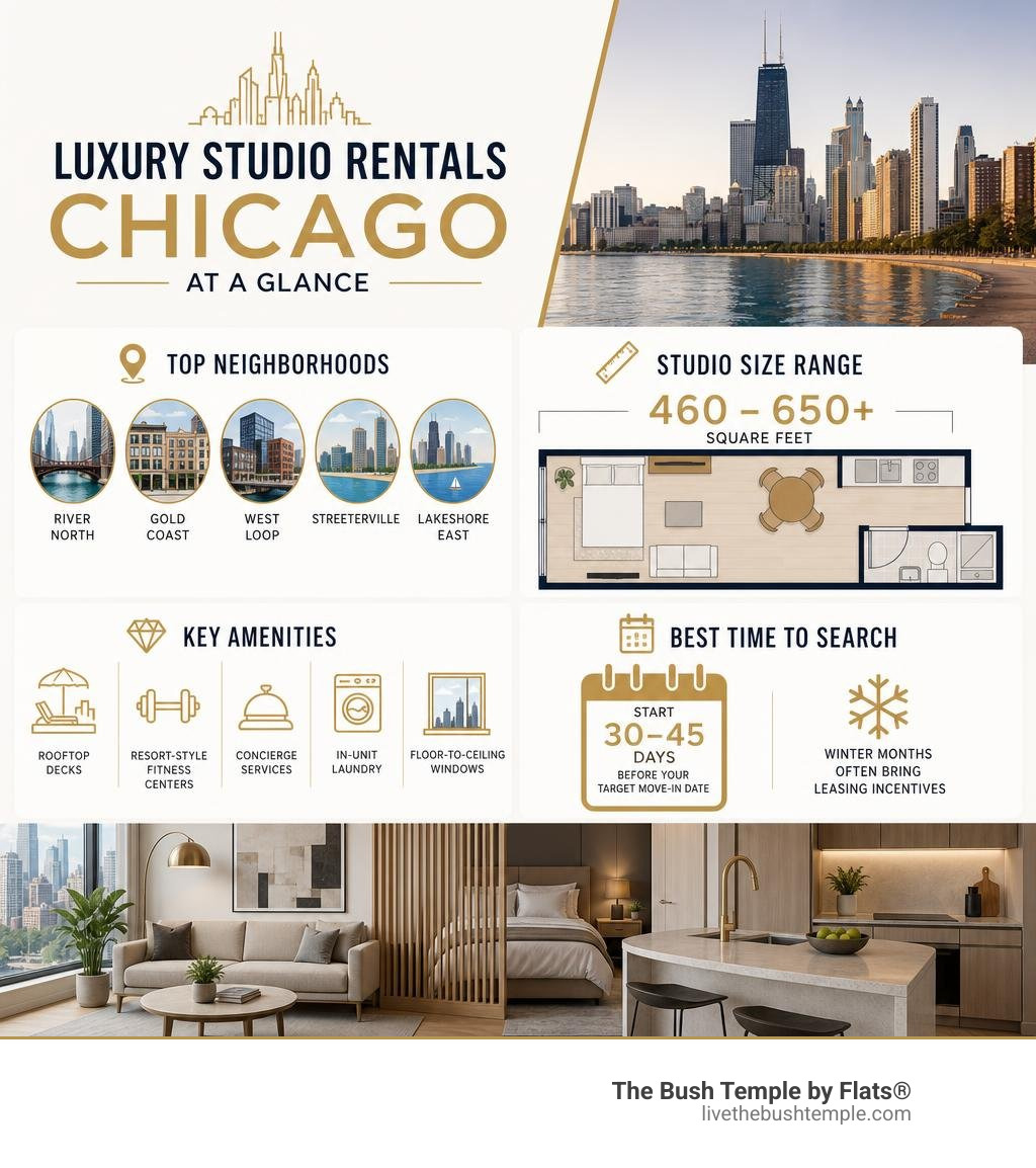 Infographic showing top Chicago neighborhoods, studio size ranges, key amenities, and best search timing for luxury studio Infographic showing top Chicago neighborhoods, studio size ranges, key amenities, and best search timing for luxury studio