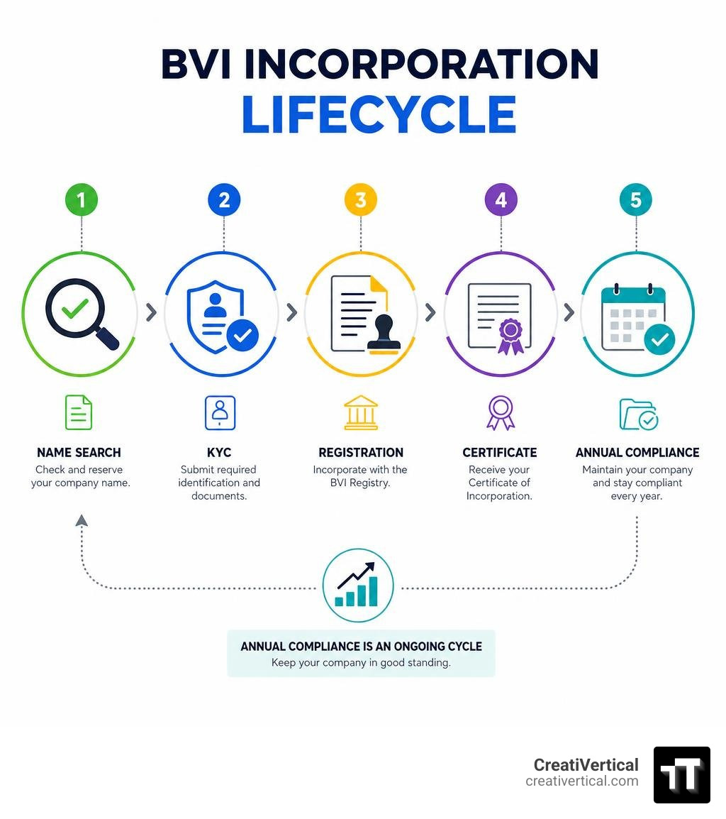 BVI incorporation lifecycle infographic: name search, KYC, registration, certificate, annual compliance infographic