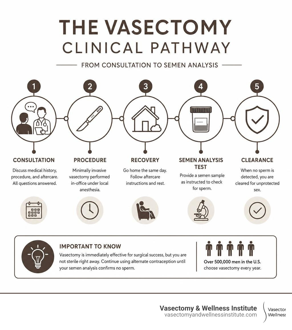 Infographic explaining the vasectomy clinical pathway from consultation to semen analysis infographic