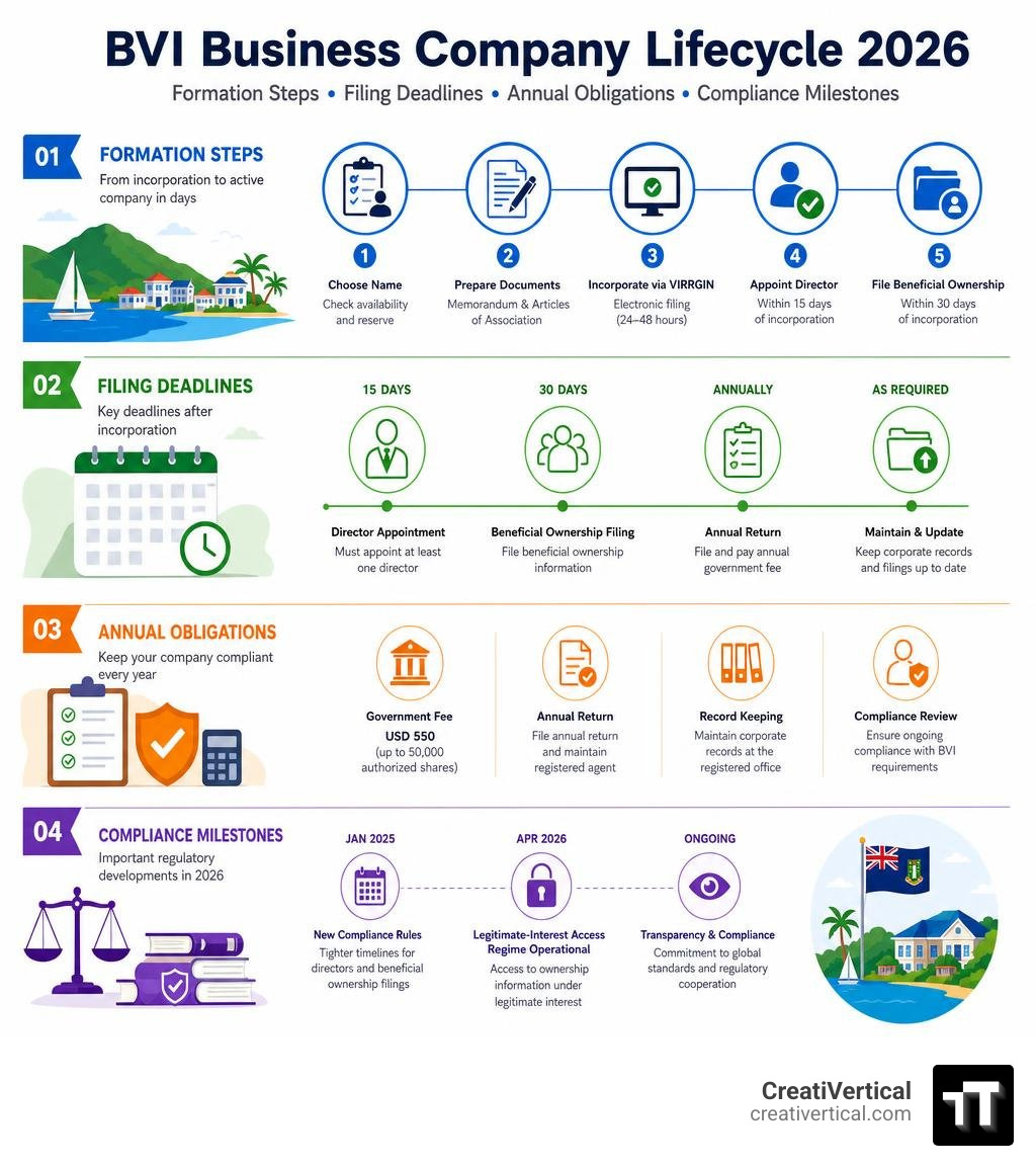 BVI Business Company 2026 lifecycle infographic: formation steps, filing deadlines, annual obligations, and compliance