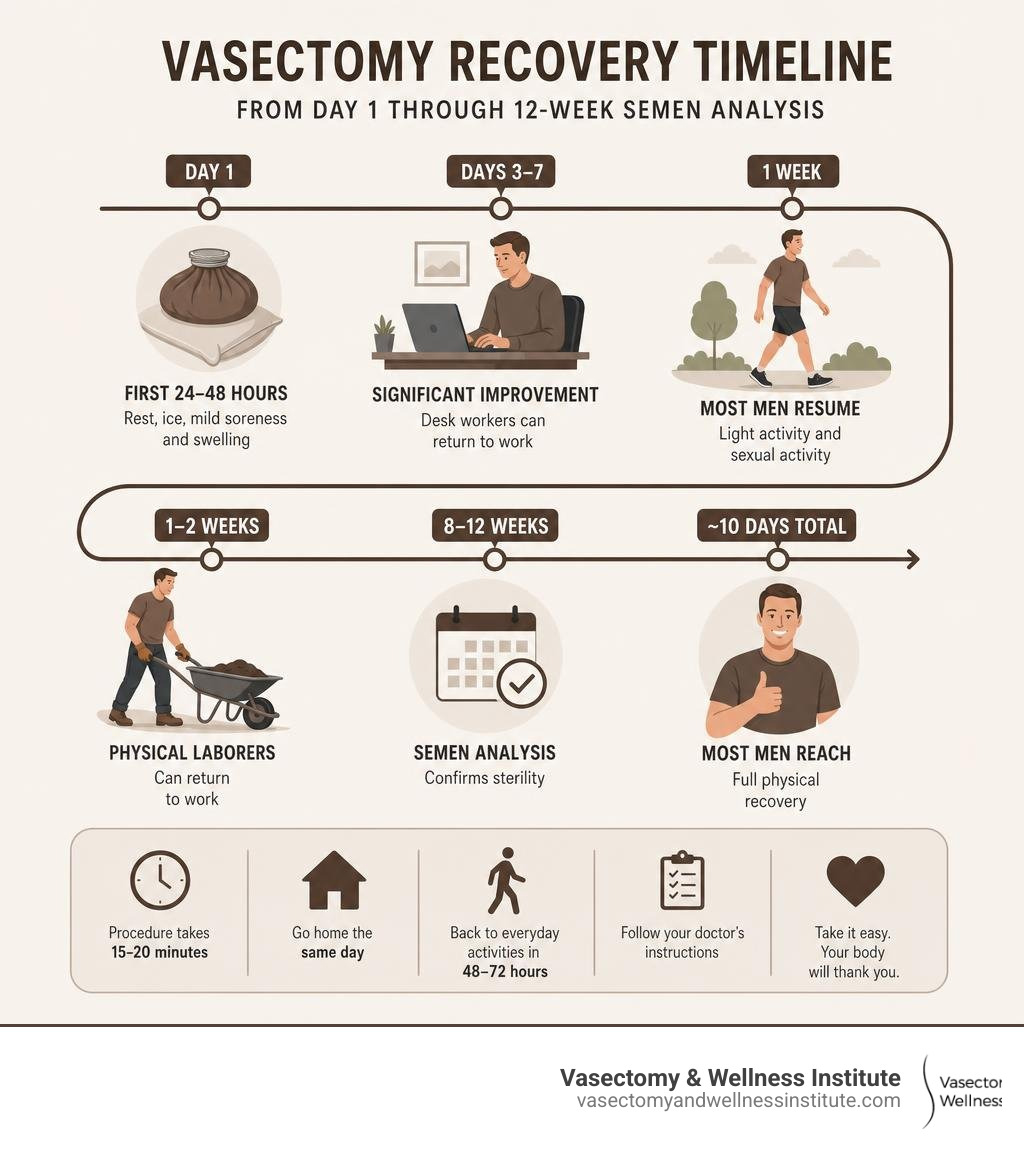 infographic showing vasectomy recovery timeline from day 1 through 12-week semen analysis infographic infographic showing vasectomy recovery timeline from day 1 through 12-week semen analysis infographic
