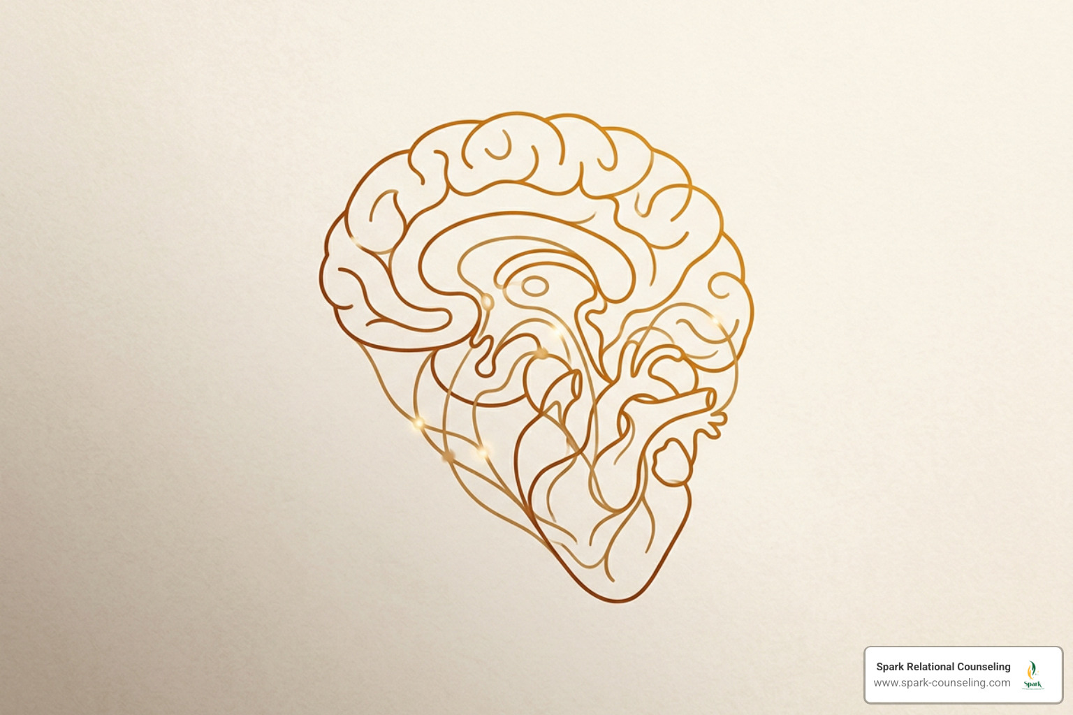 minimalistic amber-toned line drawing of a brain and heart representing neurobiological connection minimalistic amber-toned line drawing of a brain and heart representing neurobiological connection