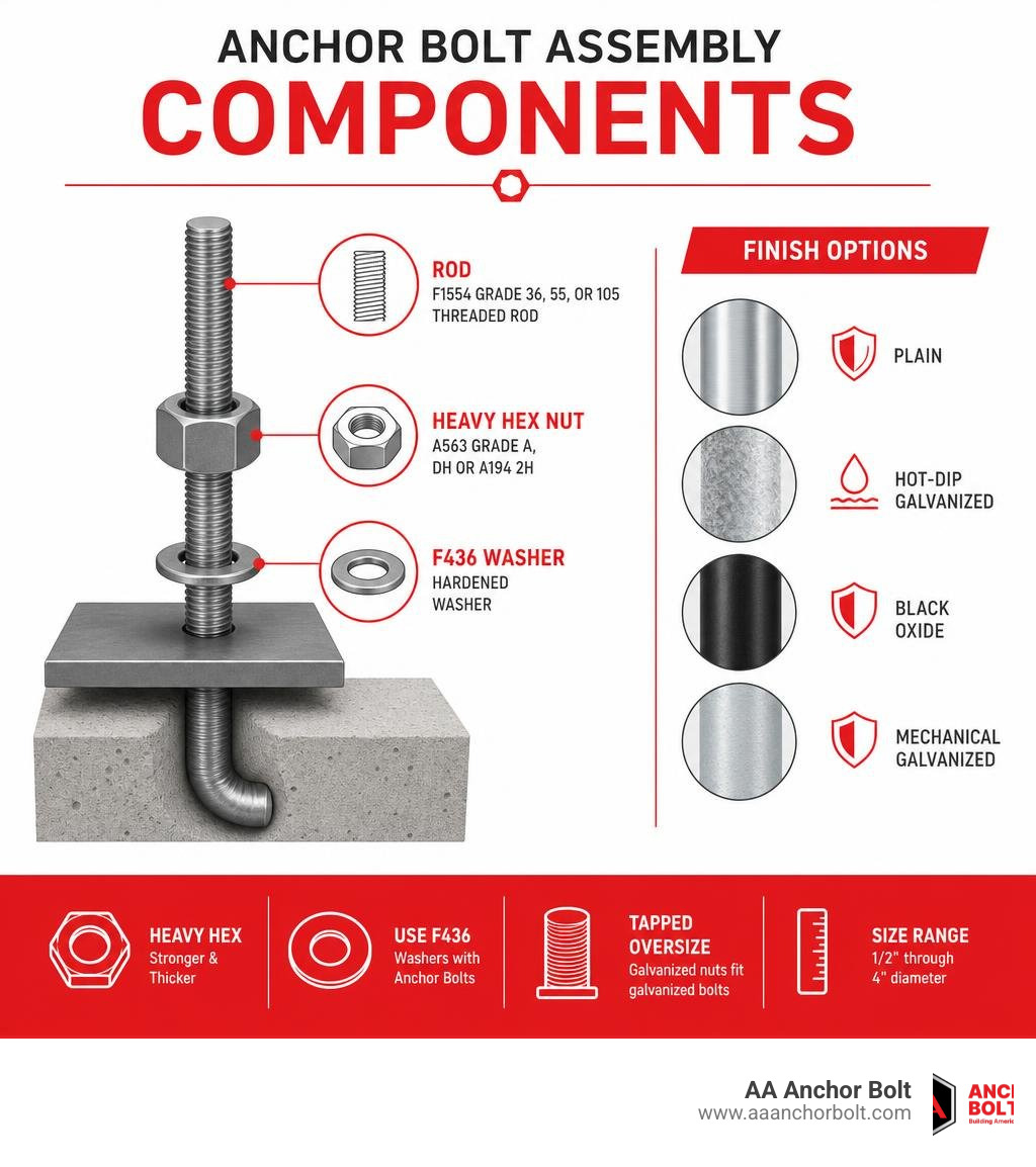 Anchor bolt assembly components infographic showing rod, heavy hex nut, F436 washer, and finish options infographic Anchor bolt assembly components infographic showing rod, heavy hex nut, F436 washer, and finish options infographic