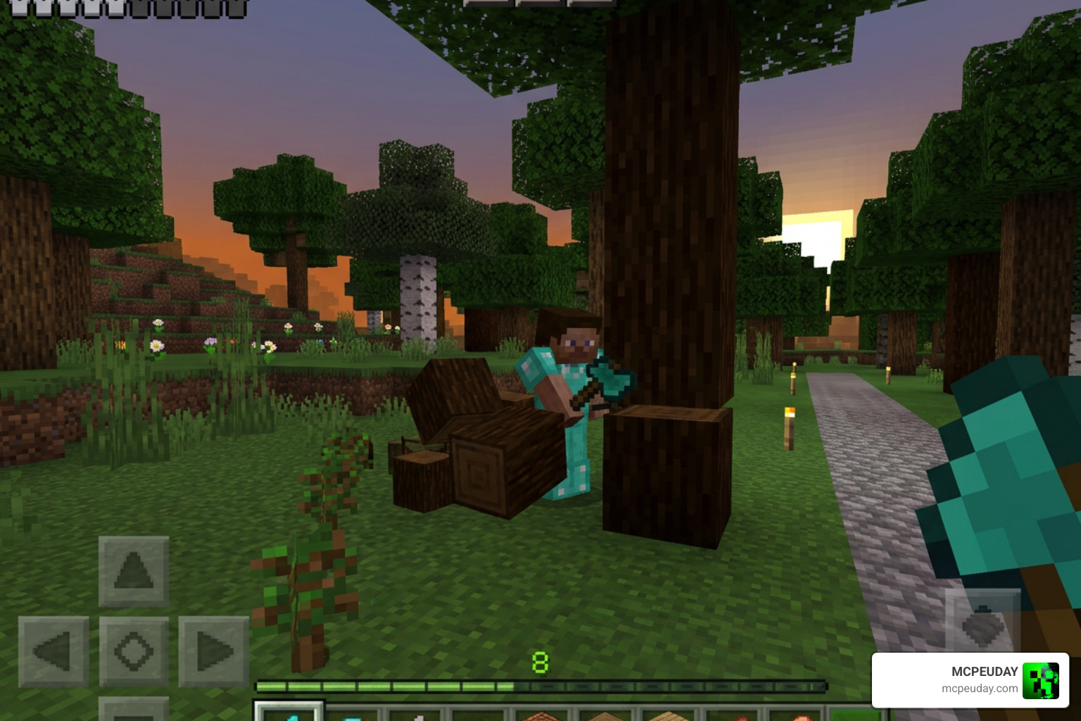 Bedrock Essentials+ Addon survival gameplay quality of life automation