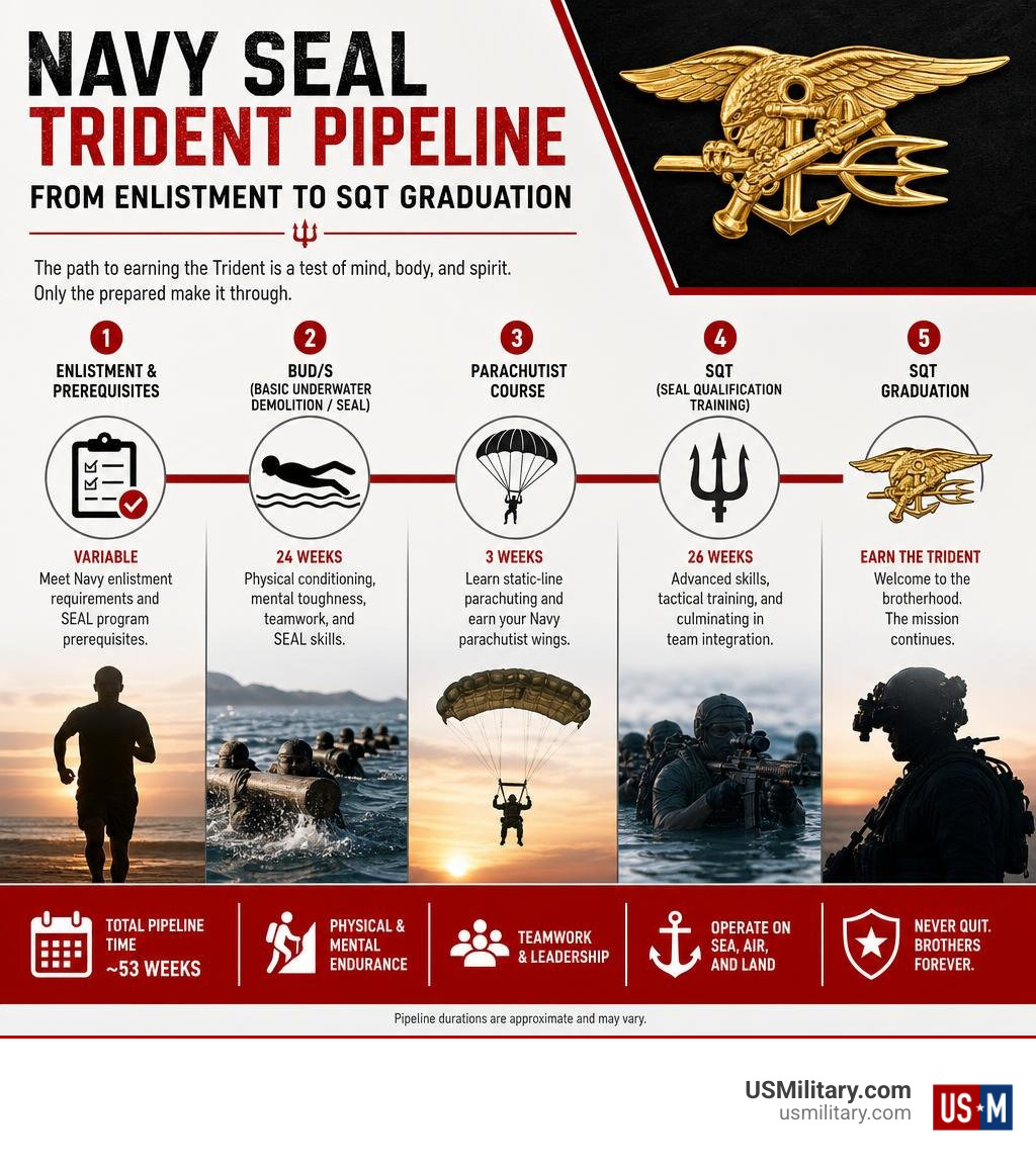 Navy SEAL Trident pipeline from enlistment to SQT graduation infographic infographic
