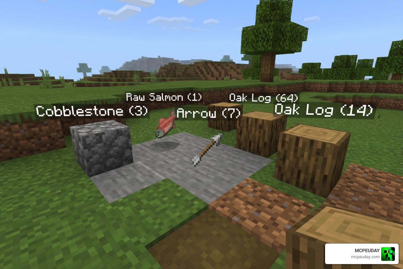 Floating item names showing floating text and item quantity in-game Floating item names showing floating text and item quantity in-game
