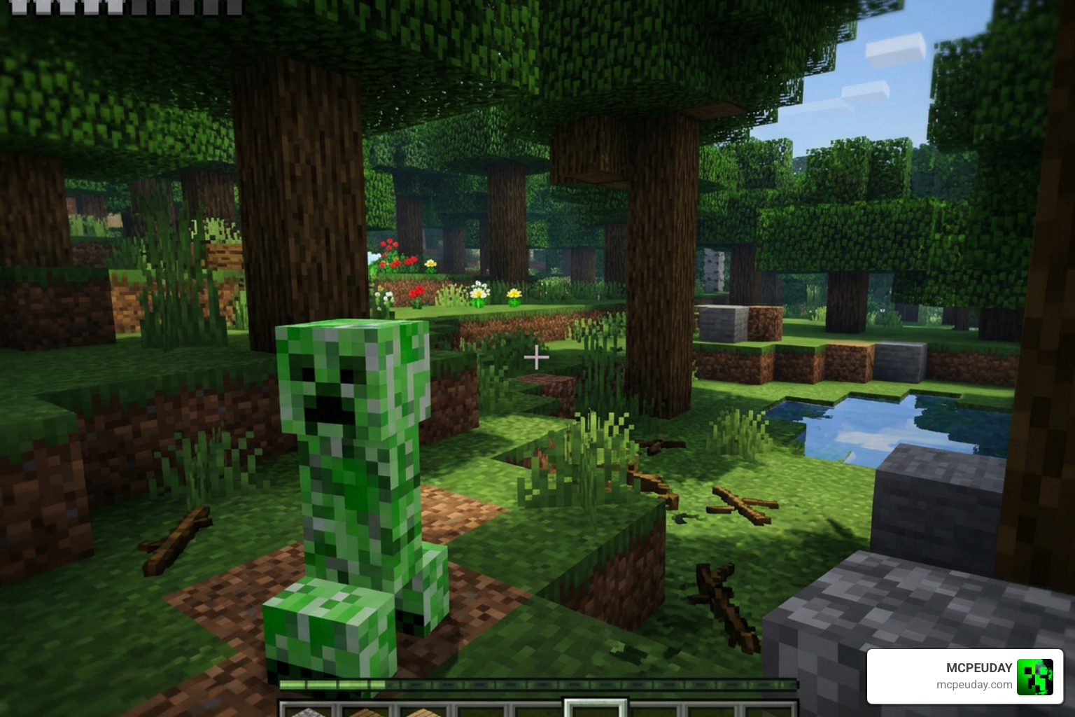 Morph Plus MOD Minecraft mob transformation gameplay