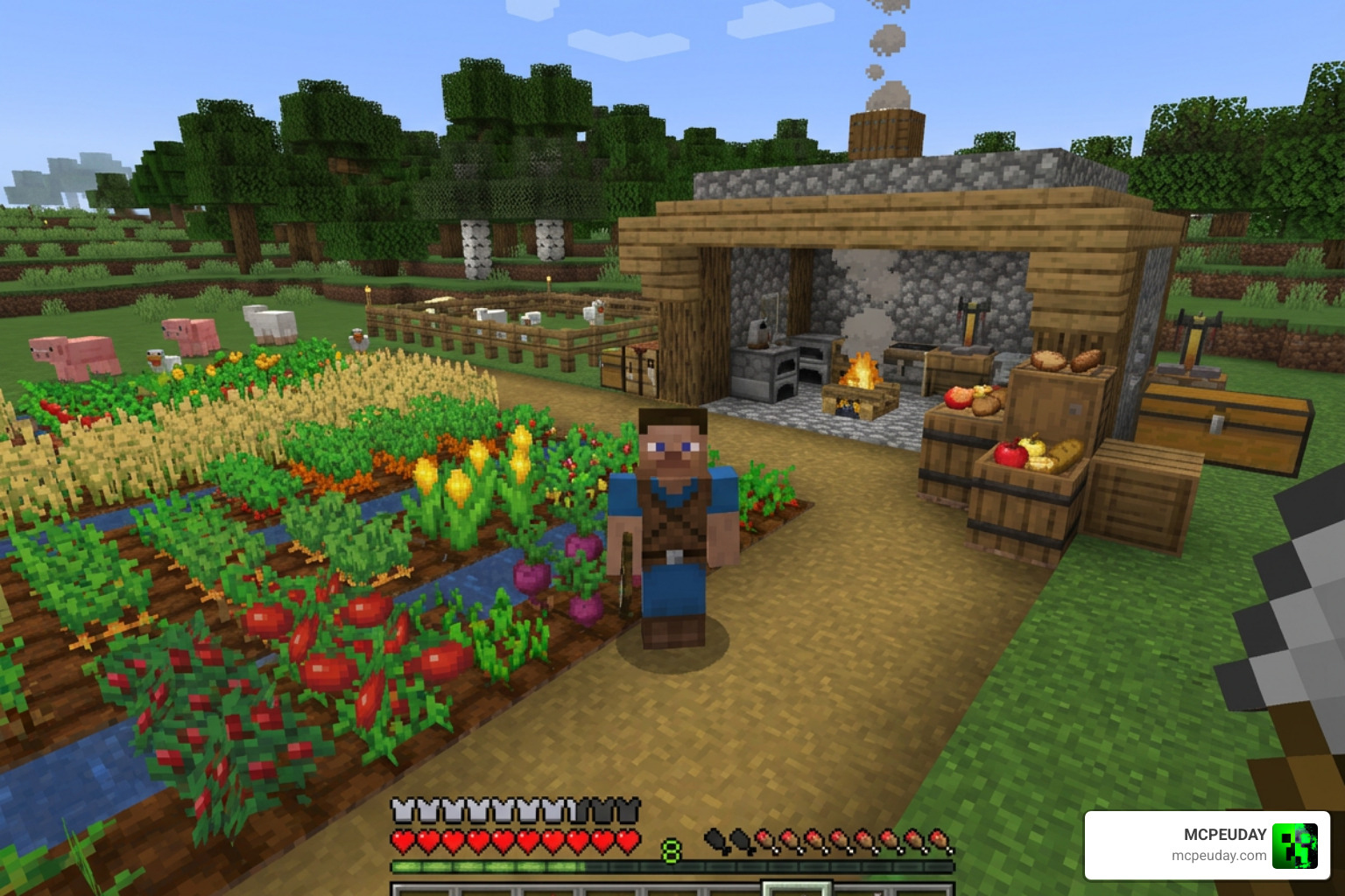 Food Plus Addon MOD Minecraft gameplay food variety survival