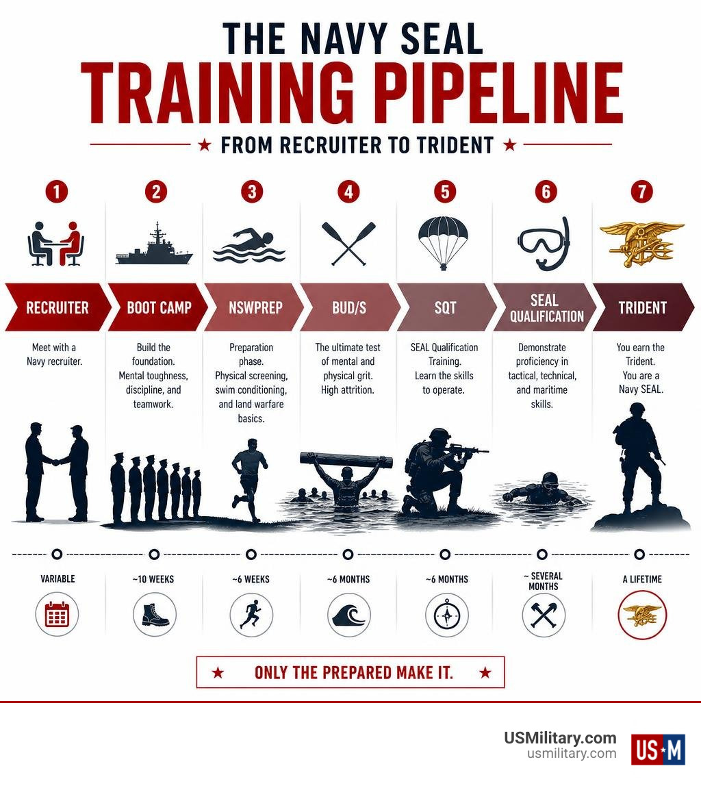 Infographic showing the Navy SEAL training pipeline from recruiter to Trident infographic Infographic showing the Navy SEAL training pipeline from recruiter to Trident infographic