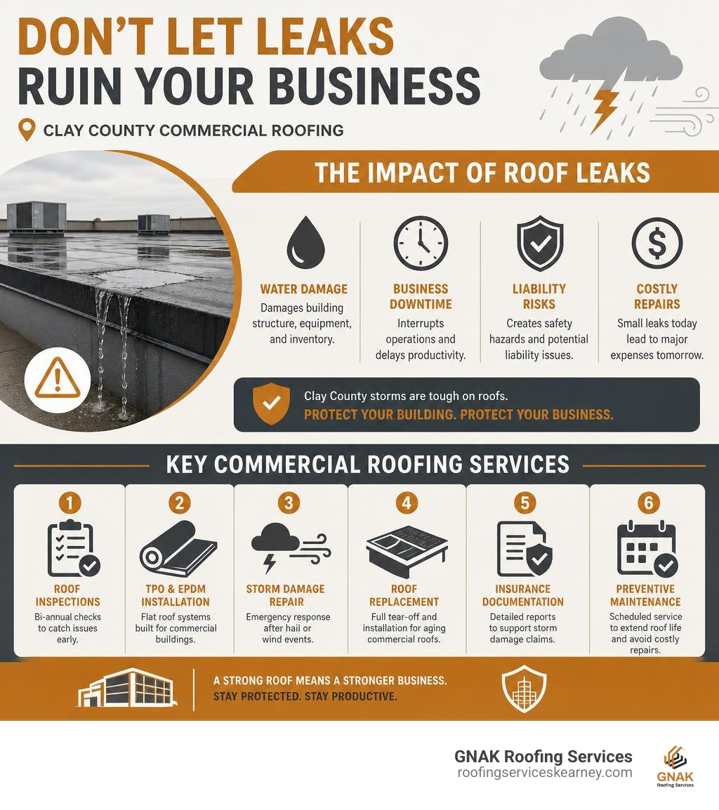 Infographic showing impact of roof leaks on Clay County commercial operations and key roofing service options infographic Infographic showing impact of roof leaks on Clay County commercial operations and key roofing service options infographic