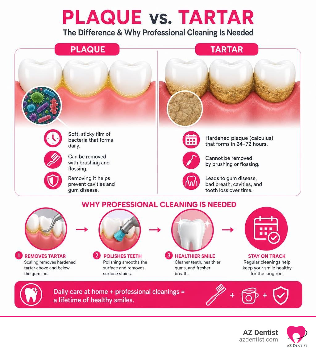 Infographic showing the difference between plaque and tartar and why professional cleaning is needed infographic