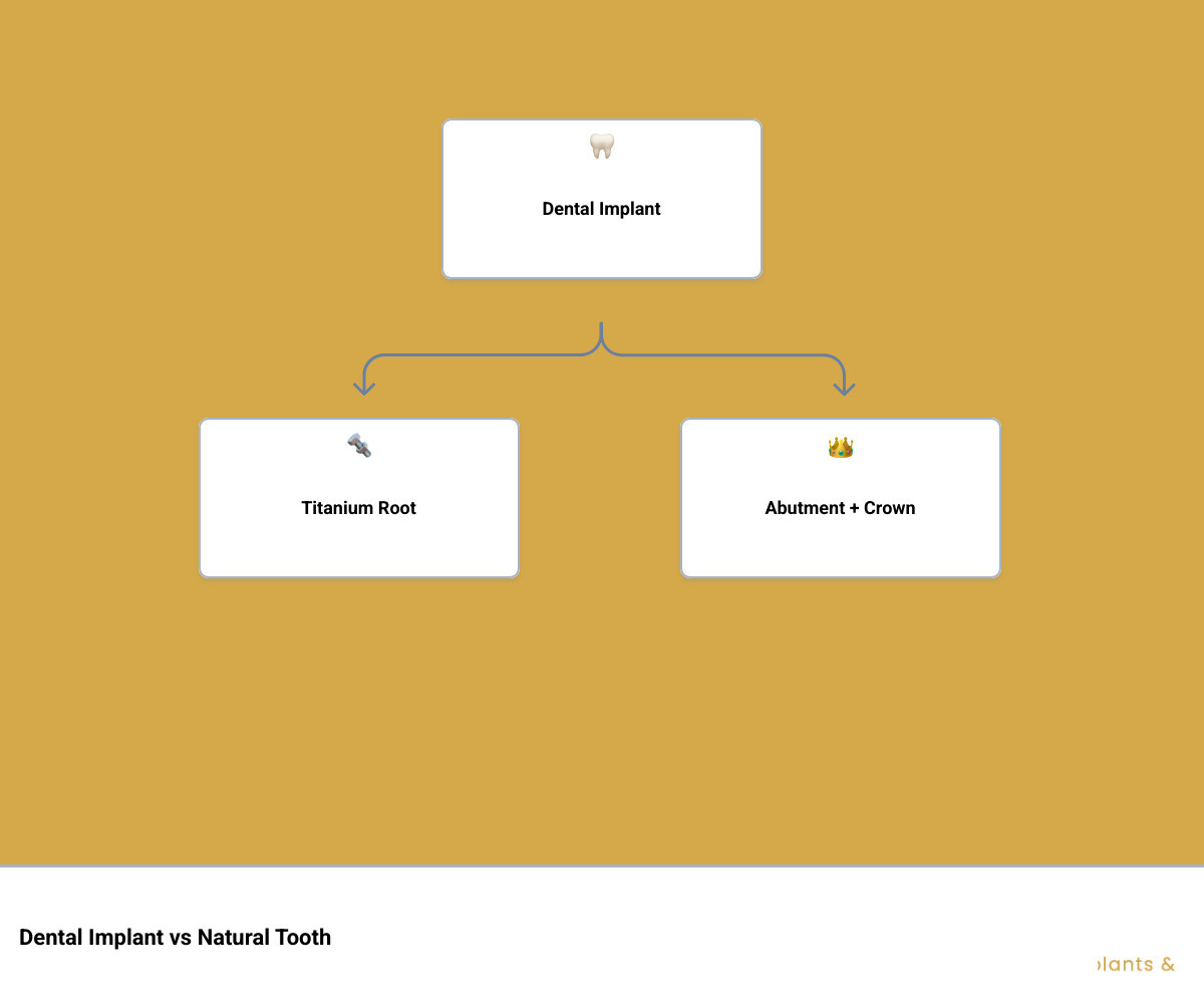 Dental implant structure vs natural tooth: components, bone integration, and smile outcome infographic Dental implant structure vs natural tooth: components, bone integration, and smile outcome infographic
