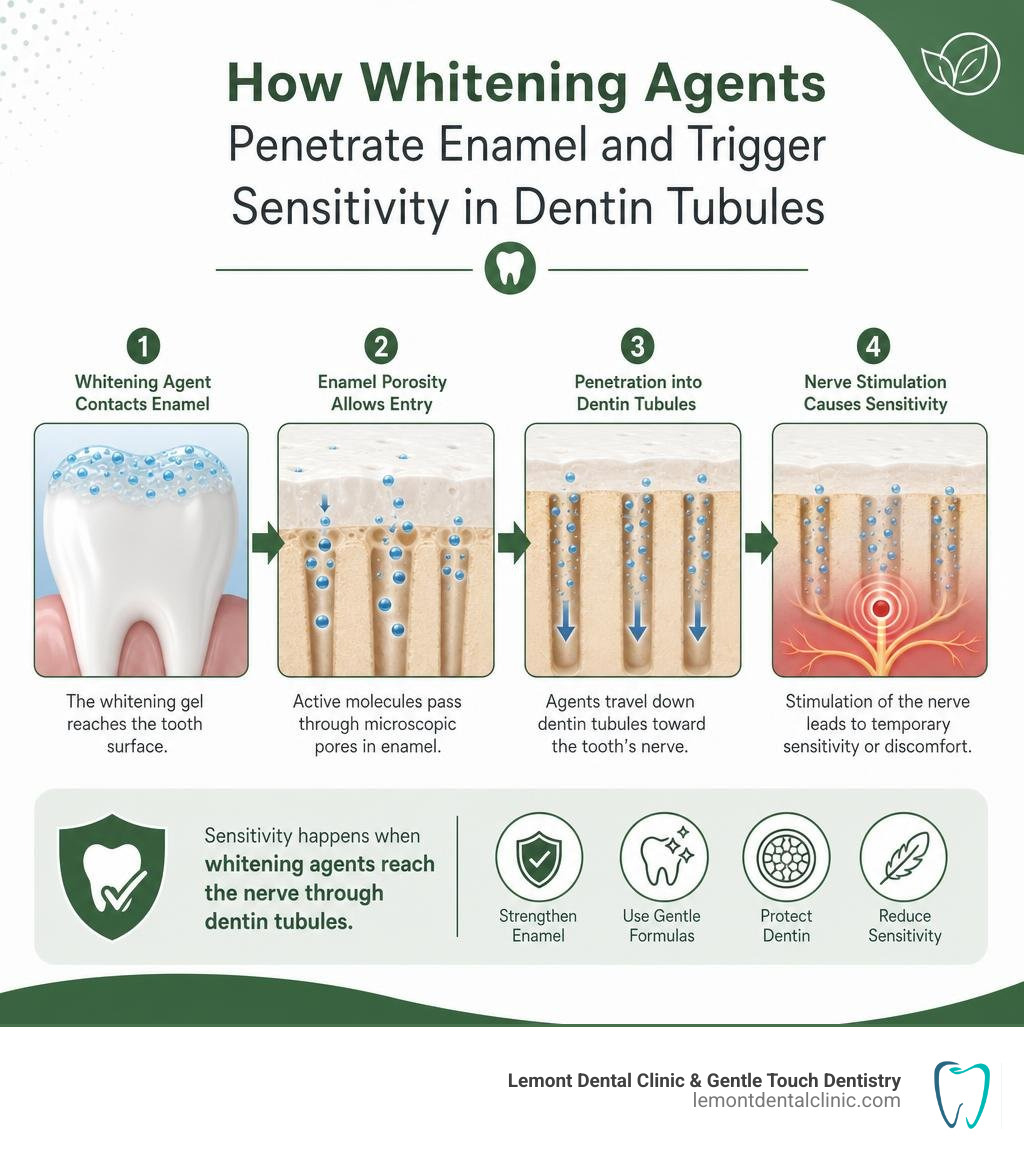 How whitening agents penetrate enamel and trigger sensitivity in dentin tubules infographic How whitening agents penetrate enamel and trigger sensitivity in dentin tubules infographic