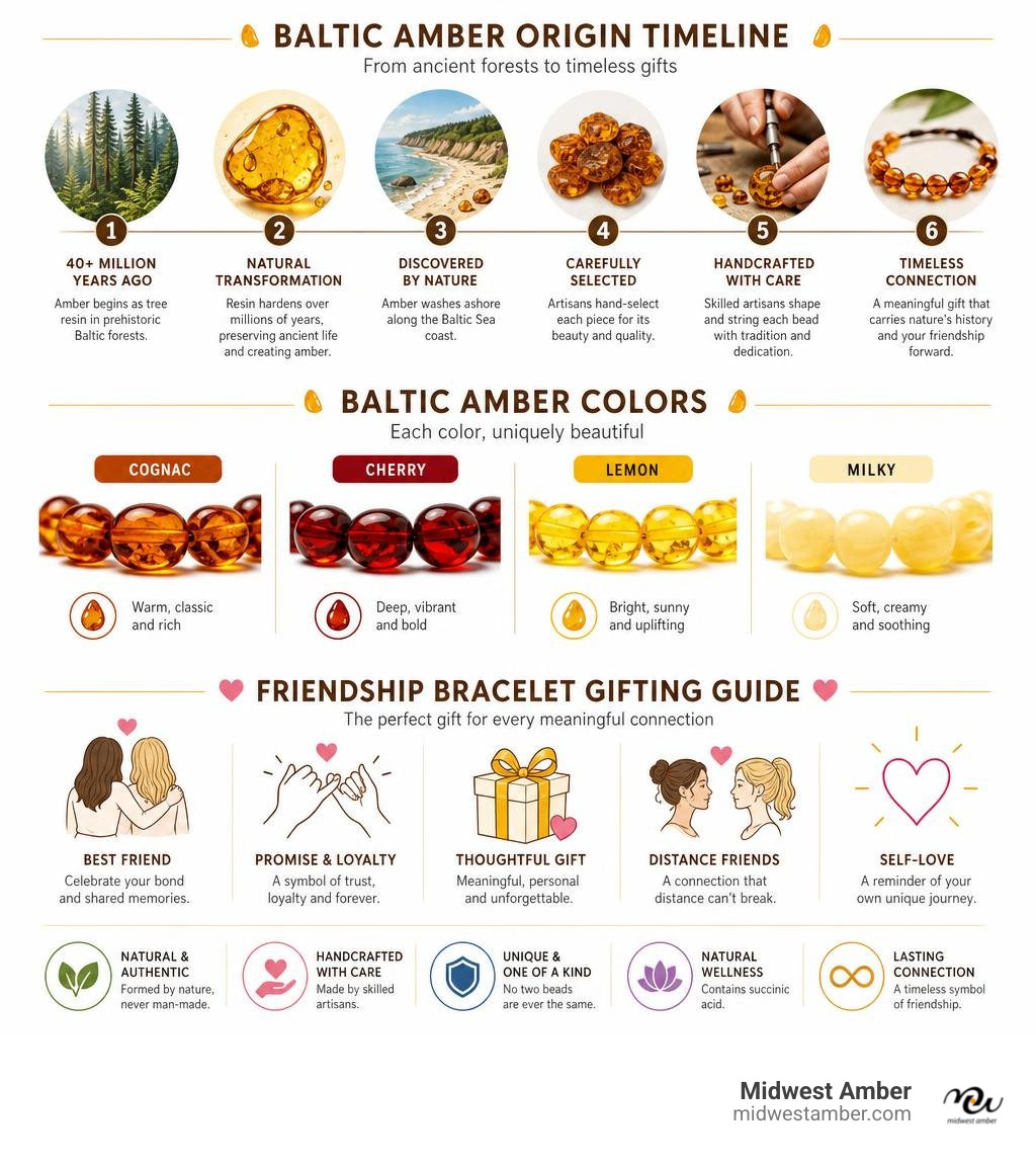 Infographic showing Baltic amber origin timeline, key colors, and friendship bracelet gifting guide infographic