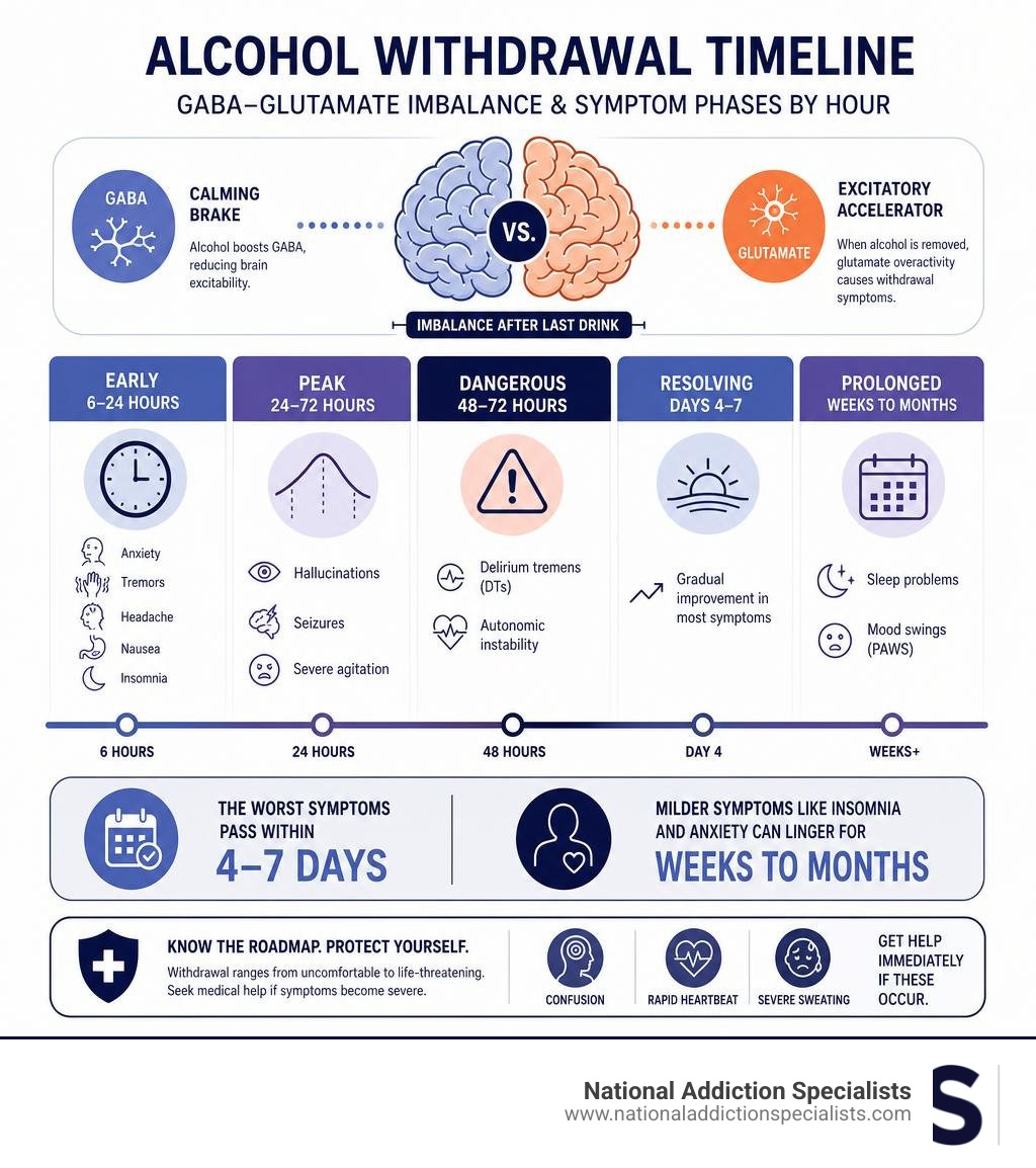 Infographic showing alcohol withdrawal timeline with GABA-glutamate imbalance and symptom phases by hour infographic Infographic showing alcohol withdrawal timeline with GABA-glutamate imbalance and symptom phases by hour infographic
