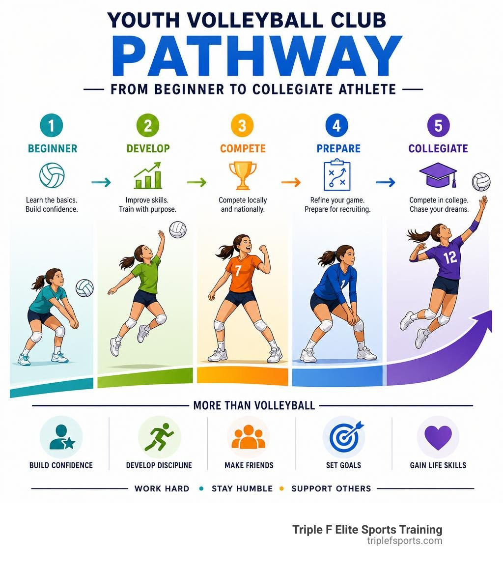 Youth volleyball club pathway from beginner to collegiate athlete infographic infographic Youth volleyball club pathway from beginner to collegiate athlete infographic infographic
