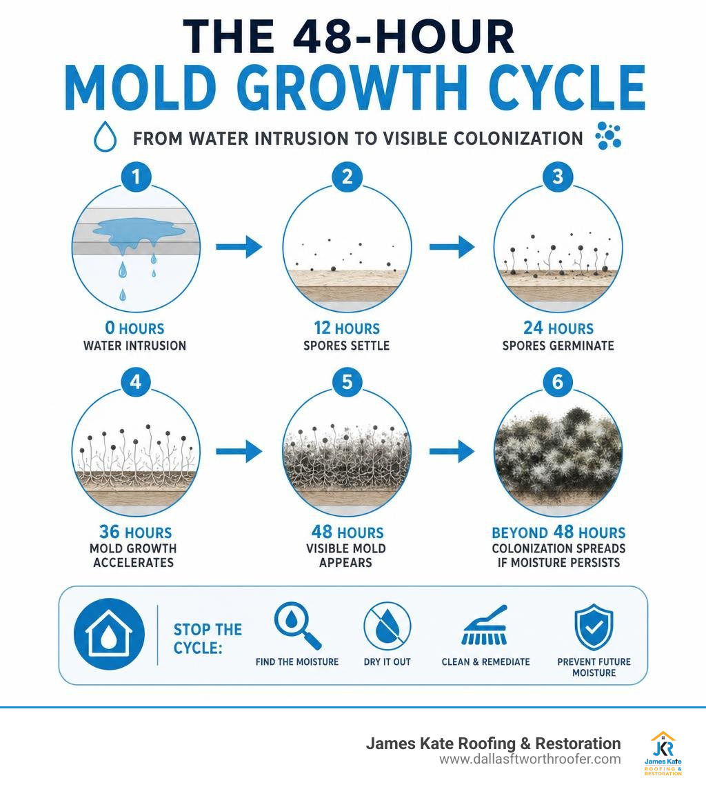 Infographic showing the 48-hour mold growth cycle from water intrusion to visible colonization infographic Infographic showing the 48-hour mold growth cycle from water intrusion to visible colonization infographic