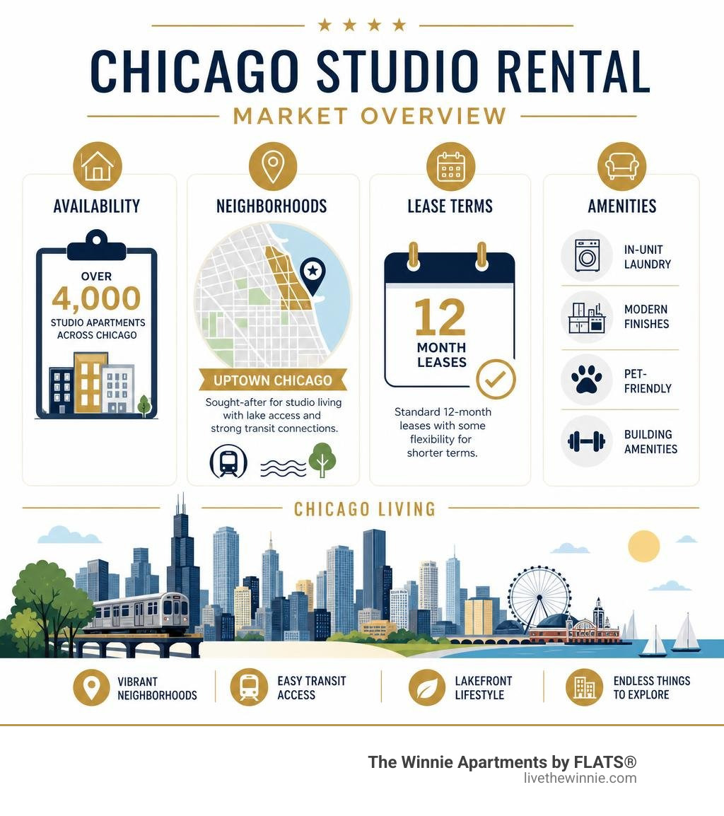 Infographic showing Chicago studio rental market overview: availability, neighborhoods, lease terms, and amenities