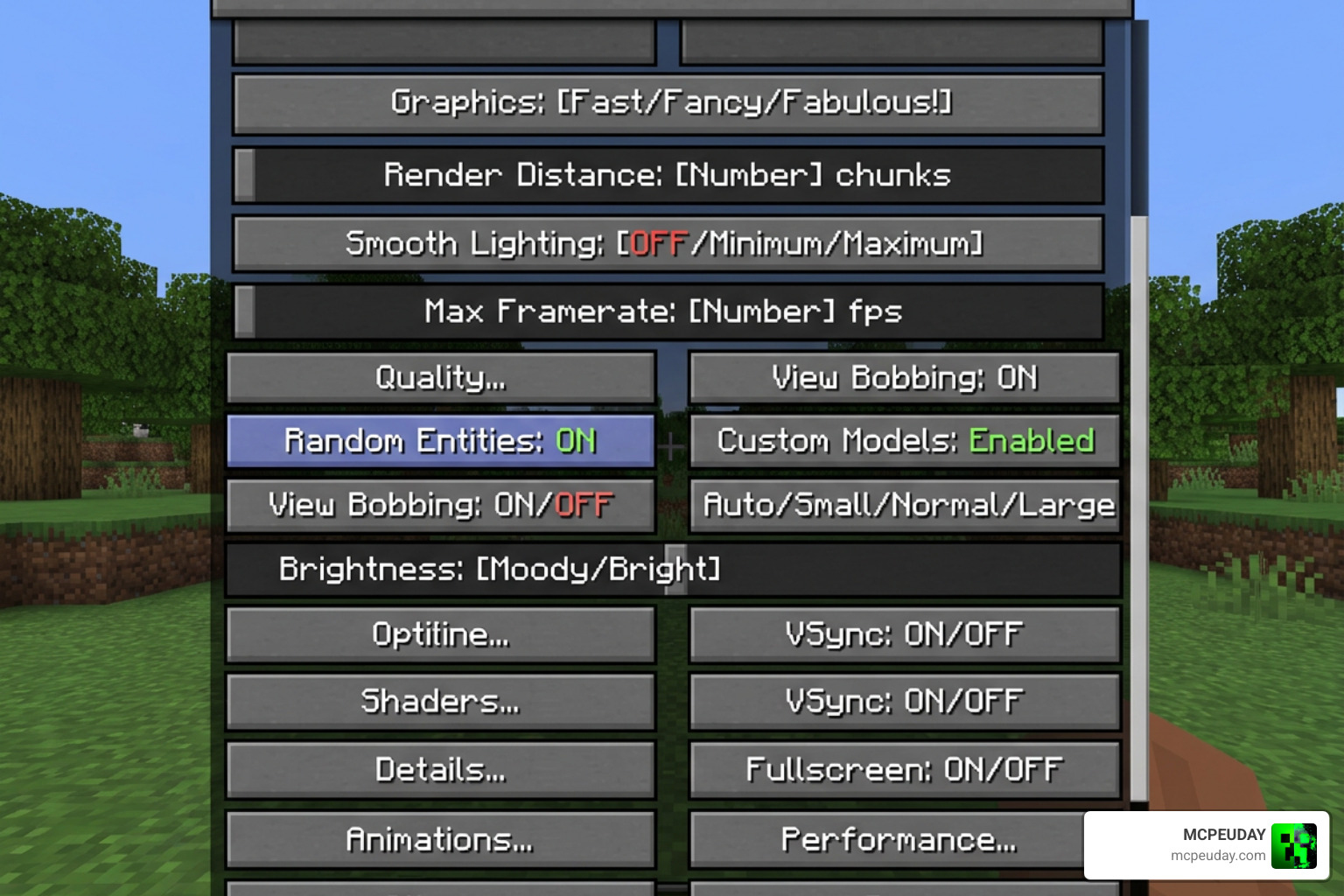 OptiFine video settings configuration for random entities and custom models