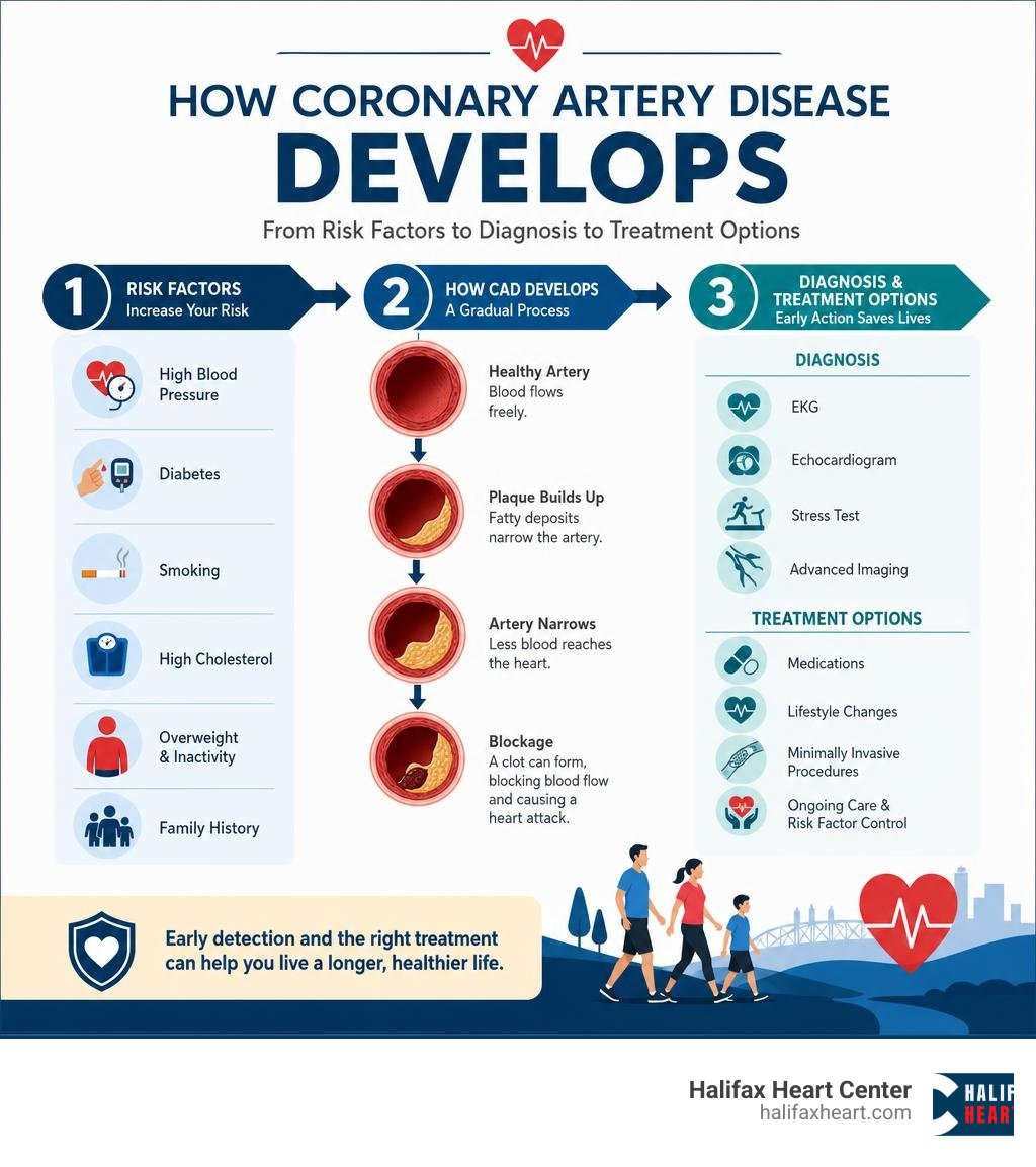 How coronary artery disease develops from risk factors to diagnosis to treatment options infographic