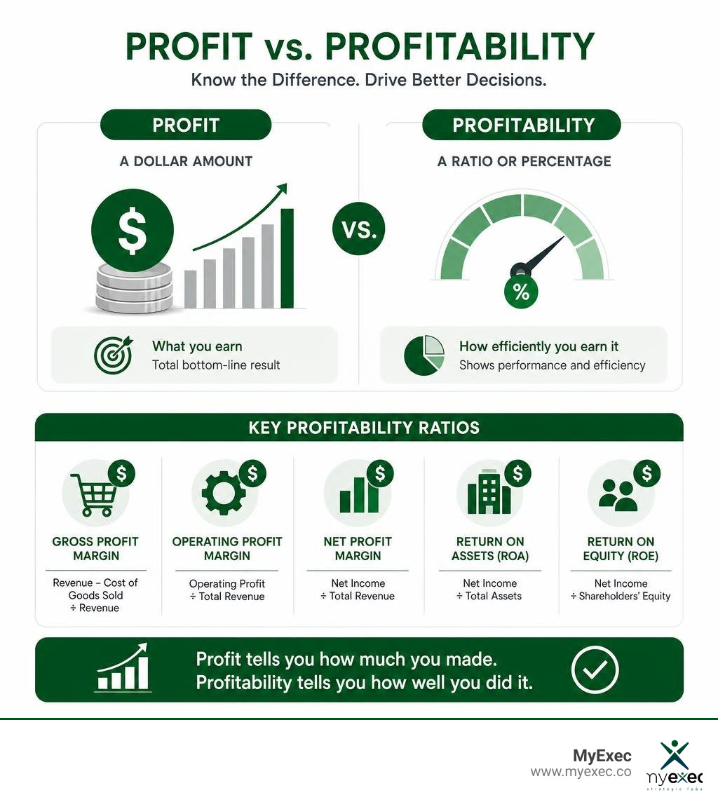MyExec-branded infographic comparing profit and profitability without duplicate top-left logo infographic
