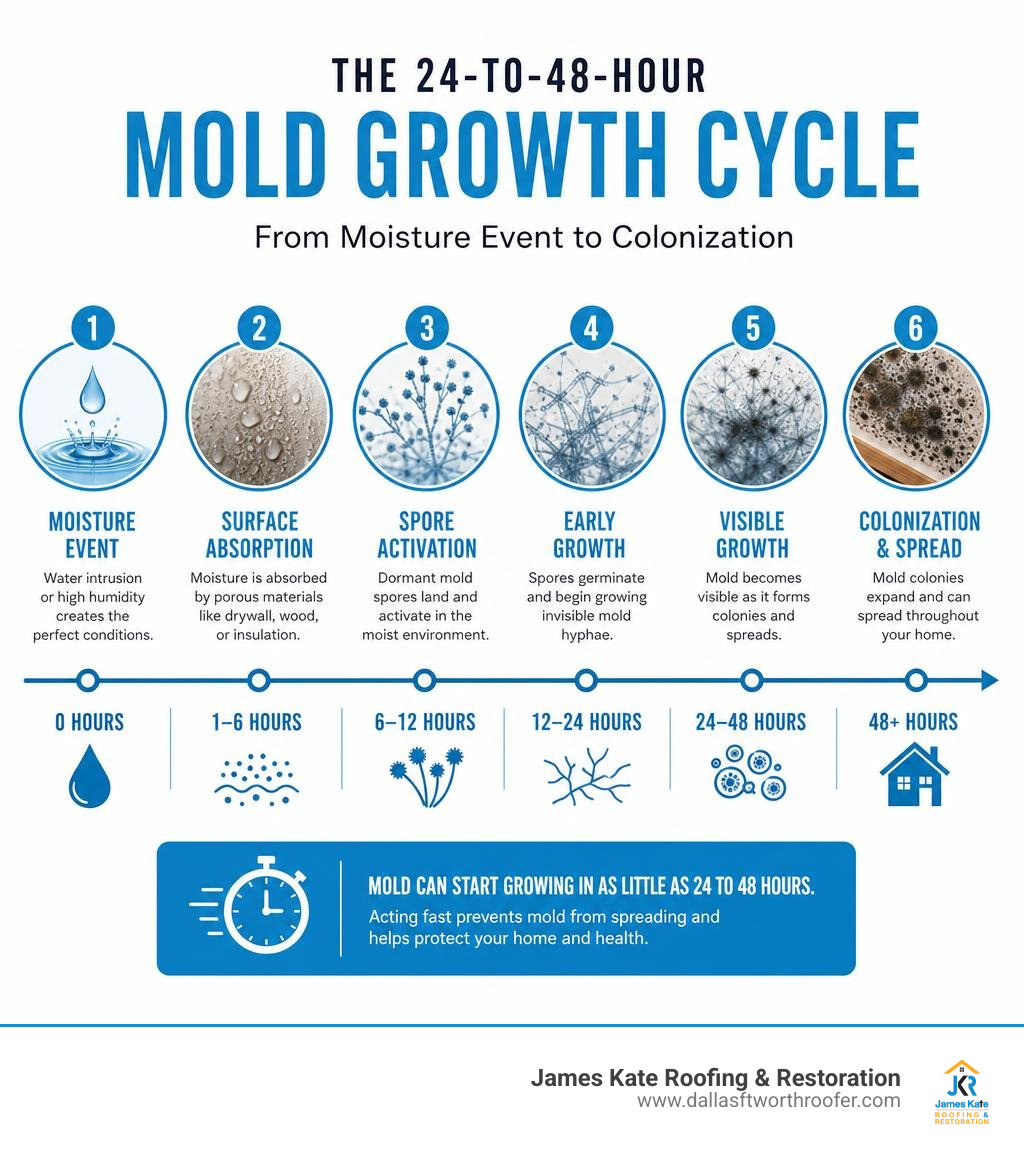 Infographic showing the 24-to-48-hour mold growth cycle from moisture event to colonization infographic Infographic showing the 24-to-48-hour mold growth cycle from moisture event to colonization infographic
