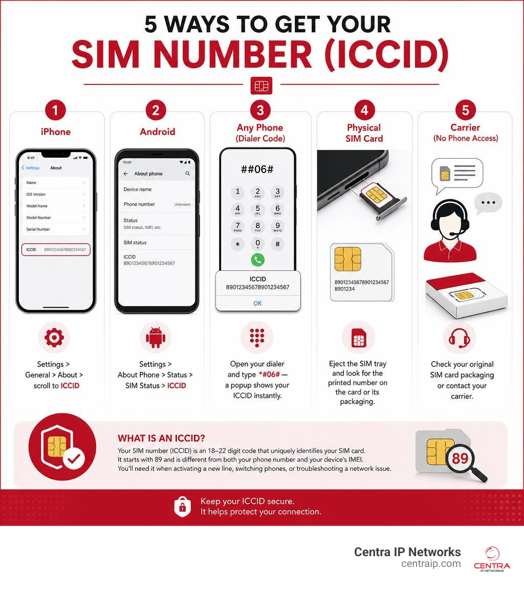 SIM card number retrieval methods across iPhone, Android, physical card, and carrier infographic SIM card number retrieval methods across iPhone, Android, physical card, and carrier infographic