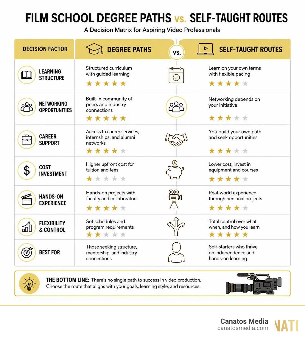 Decision matrix comparing film school degree paths vs self-taught routes in video production infographic