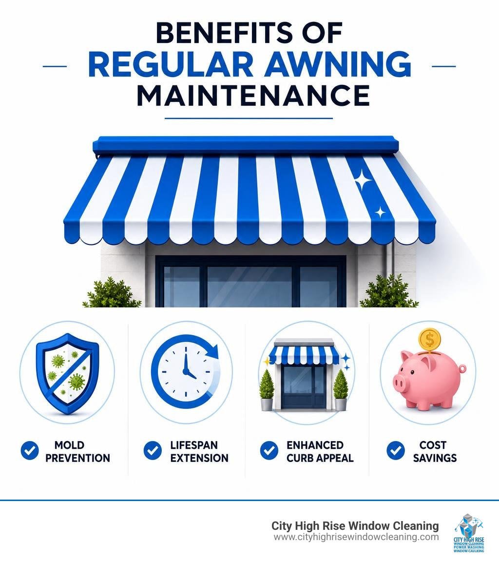 Benefits of regular awning maintenance: mold prevention, lifespan extension, curb appeal, cost savings infographic Benefits of regular awning maintenance: mold prevention, lifespan extension, curb appeal, cost savings infographic