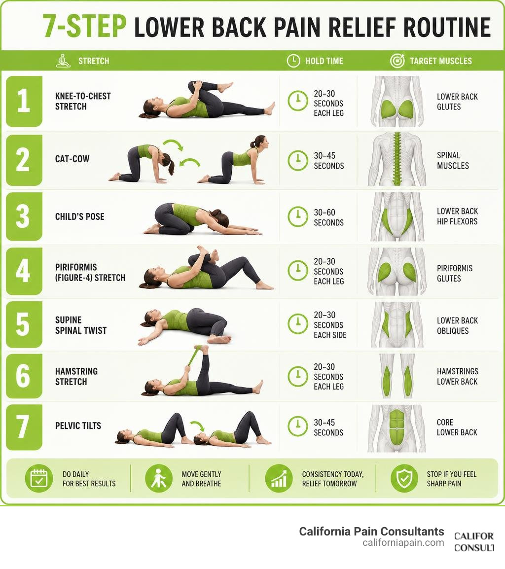 7-step lower back pain relief routine infographic with stretch names, hold times, and target muscles infographic 7-step lower back pain relief routine infographic with stretch names, hold times, and target muscles infographic