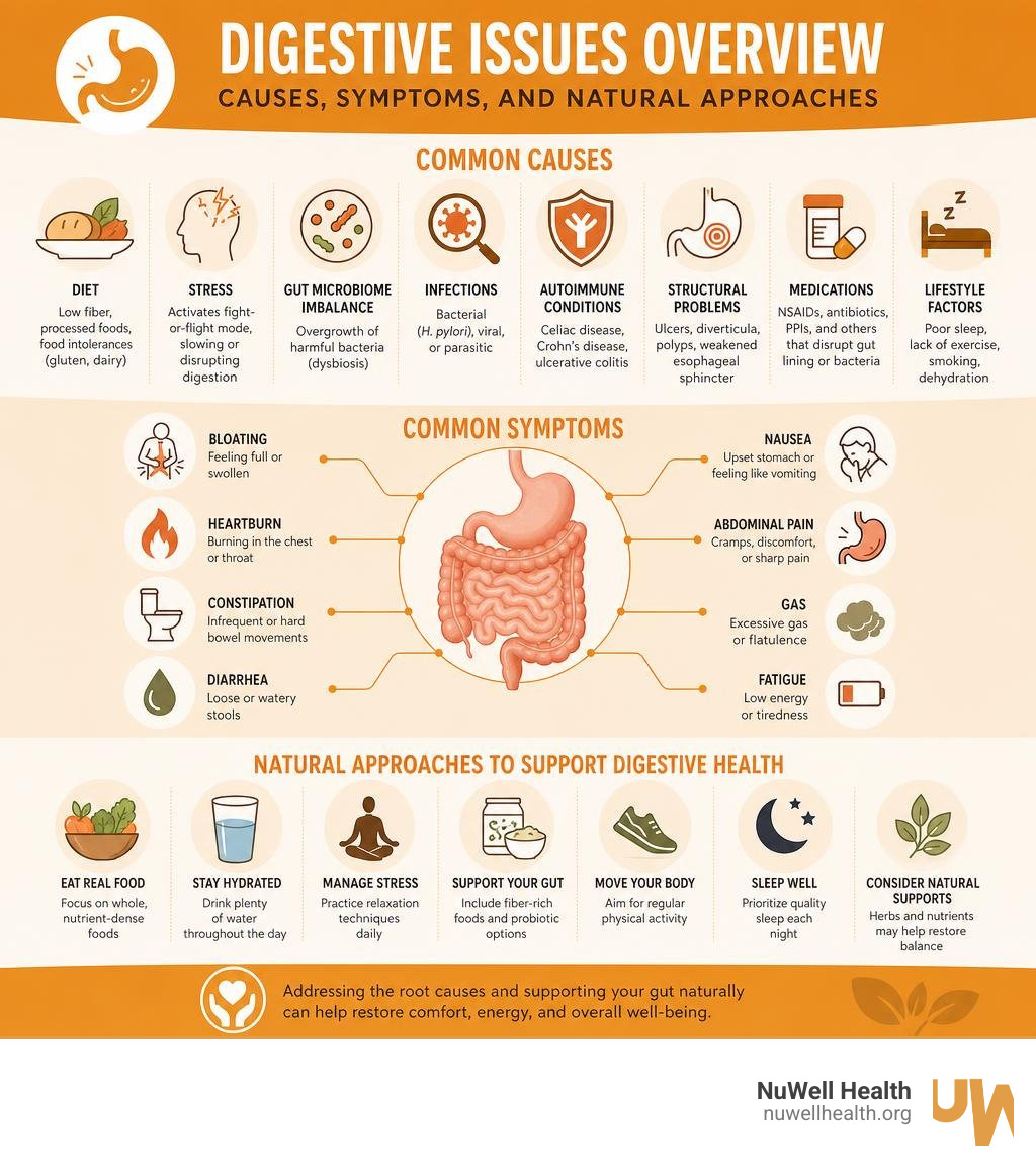 Common digestive issues causes, symptoms, and natural approaches overview infographic Common digestive issues causes, symptoms, and natural approaches overview infographic