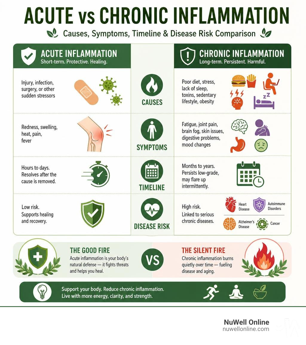 Acute vs chronic inflammation: causes, symptoms, timeline, and disease risk comparison infographic
