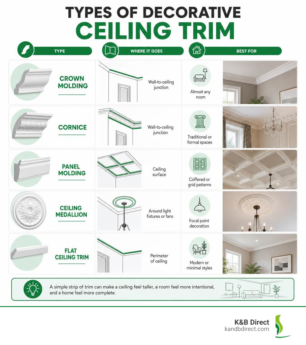 types of decorative ceiling trim, their locations, and best uses infographic infographic