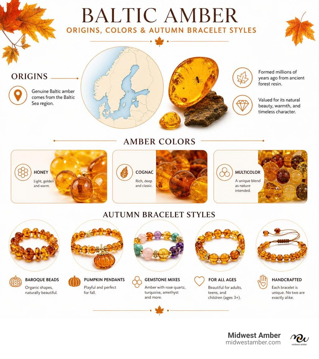 Baltic amber origins, colors, and autumn bracelet styles infographic infographic