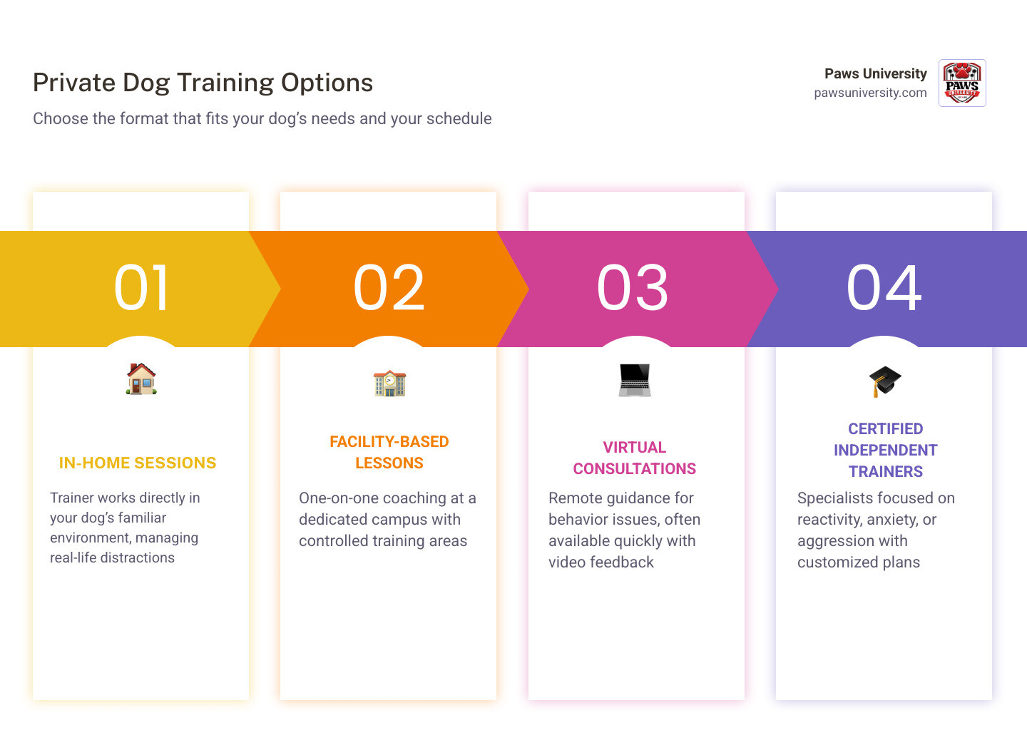 Benefits of private dog training vs group classes infographic infographic Benefits of private dog training vs group classes infographic infographic