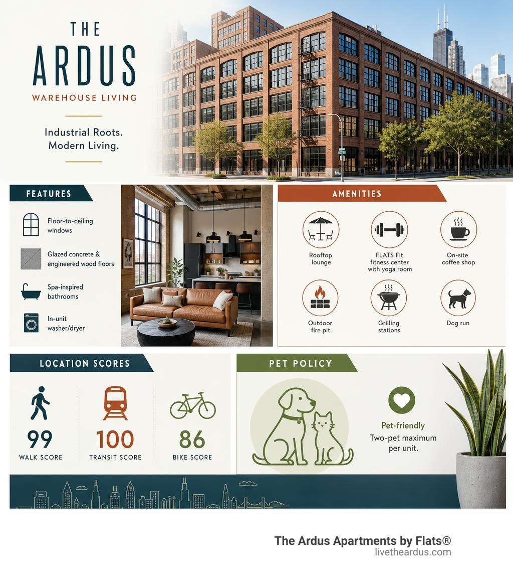 Infographic summarizing Ardus warehouse apartment features, amenities, location scores, and pet policy infographic Infographic summarizing Ardus warehouse apartment features, amenities, location scores, and pet policy infographic