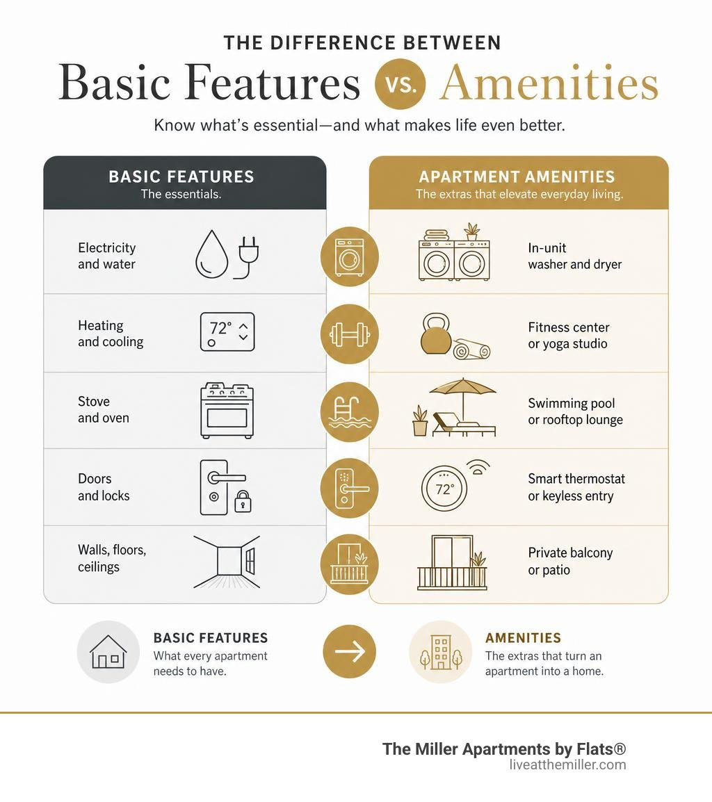 infographic showing the difference between basic apartment features and amenities with examples of each infographic infographic showing the difference between basic apartment features and amenities with examples of each infographic