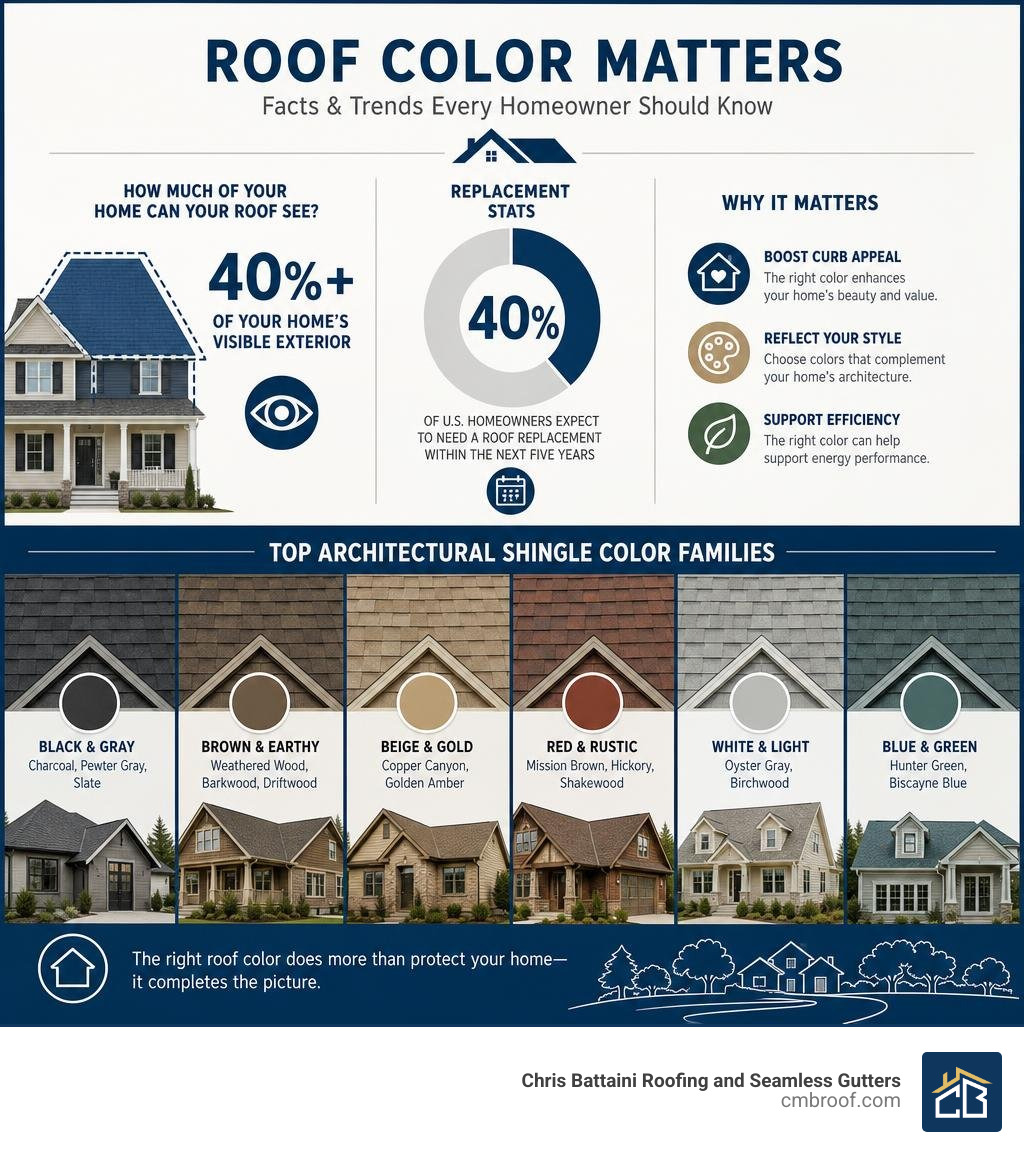 Infographic showing roof visibility percentage, replacement statistics, and top architectural shingle color families