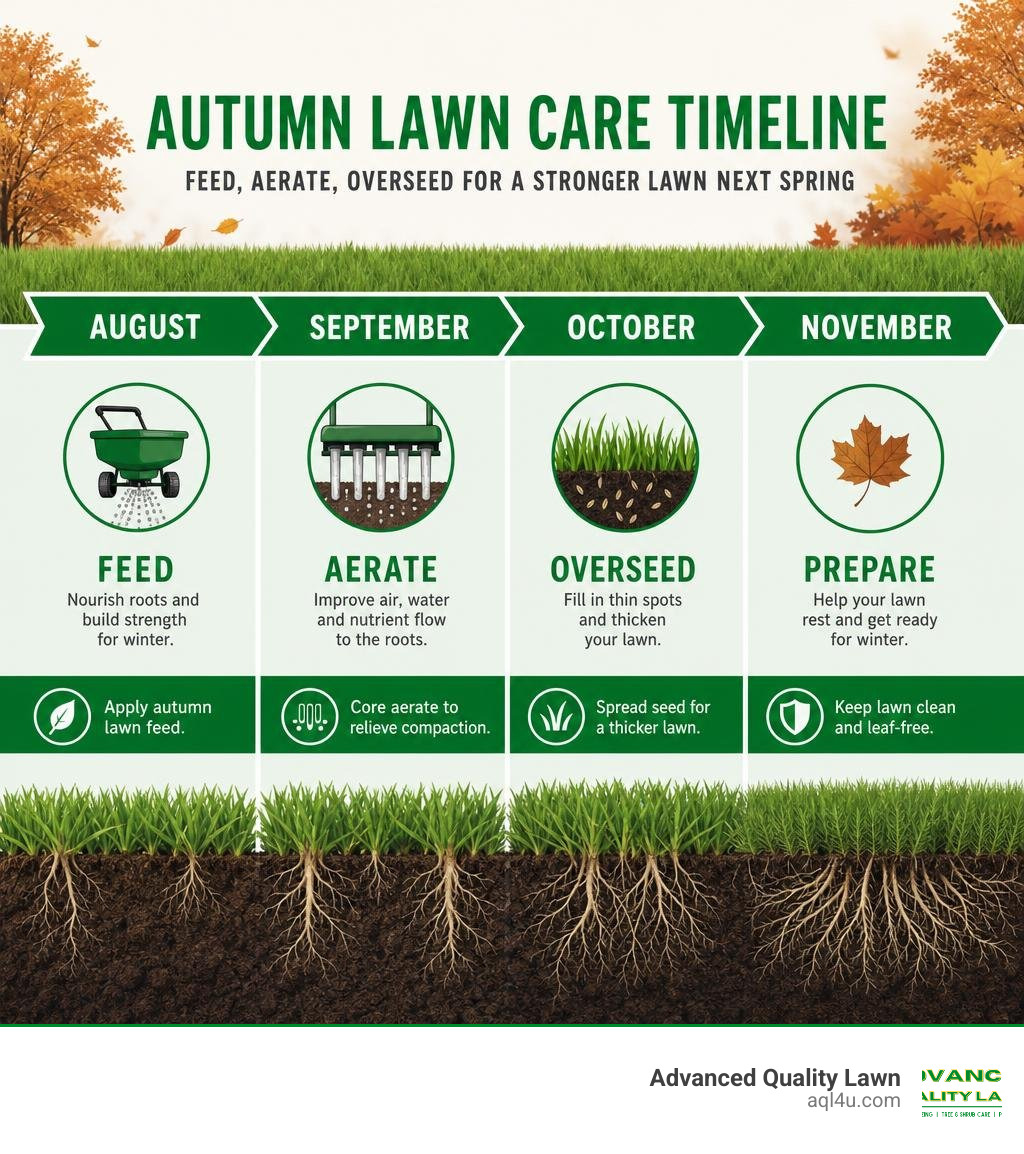Autumn lawn care timeline showing feeding, aeration, and overseeding steps from August through November infographic