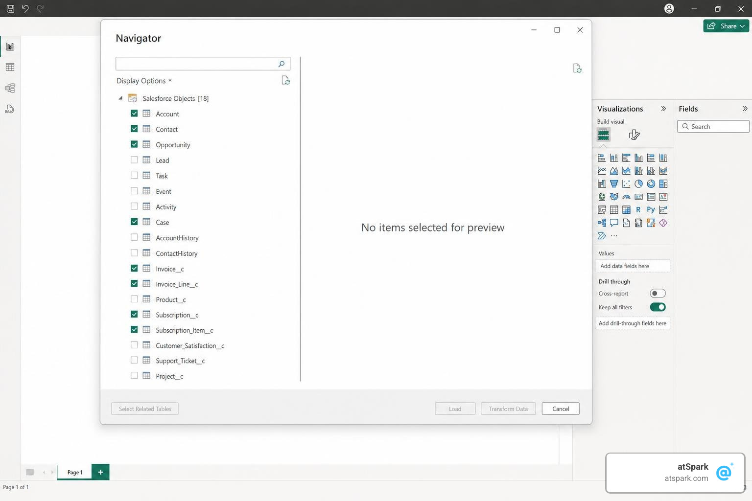 Power Query Navigator showing standard and custom Salesforce objects selected for import