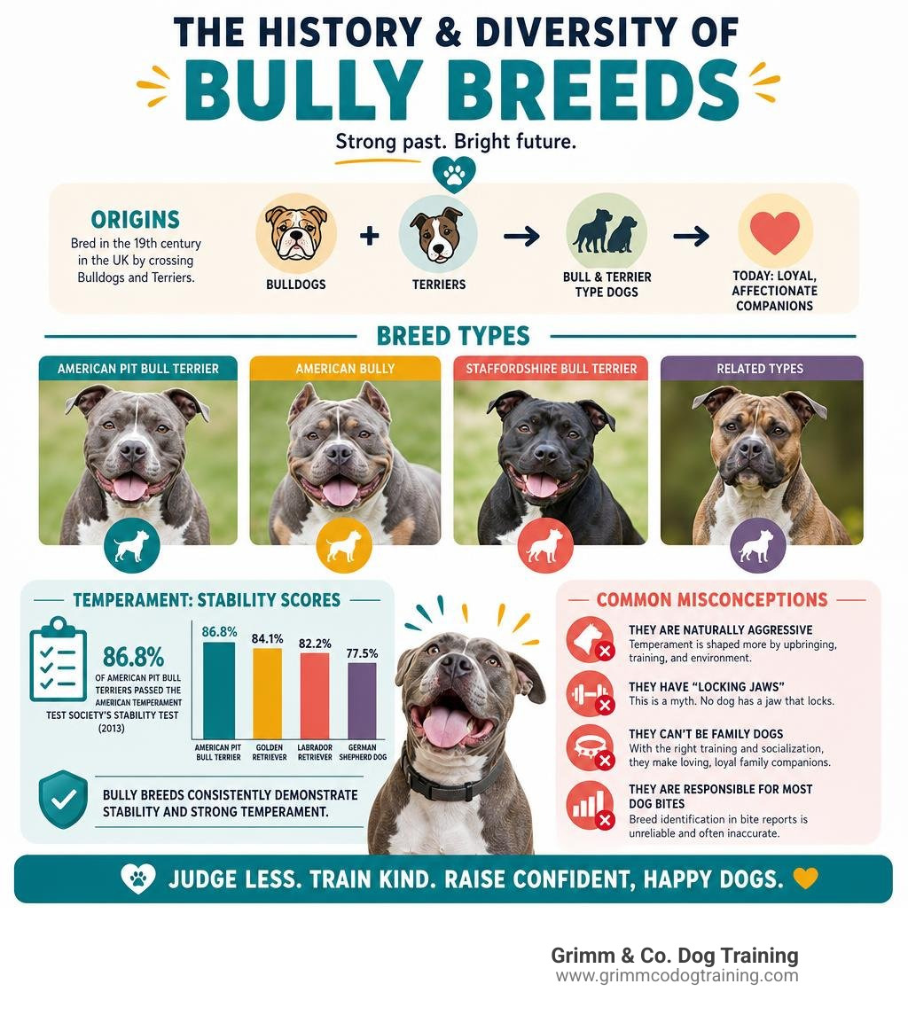 History and diversity of bully breeds: origins, breed types, temperament scores, and common misconceptions infographic History and diversity of bully breeds: origins, breed types, temperament scores, and common misconceptions infographic