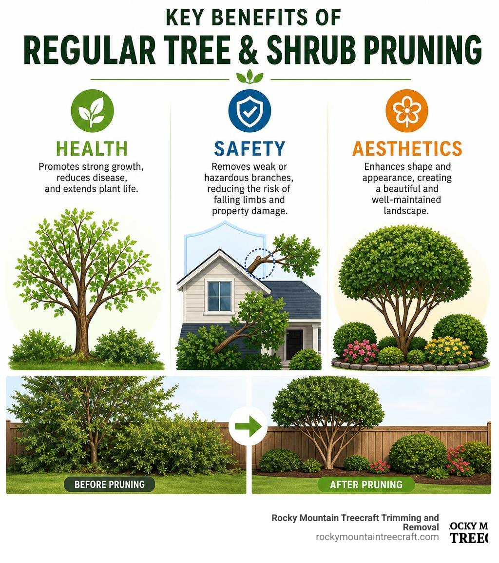 infographic showing key benefits of regular tree and shrub pruning including health, safety, and aesthetics infographic infographic showing key benefits of regular tree and shrub pruning including health, safety, and aesthetics infographic