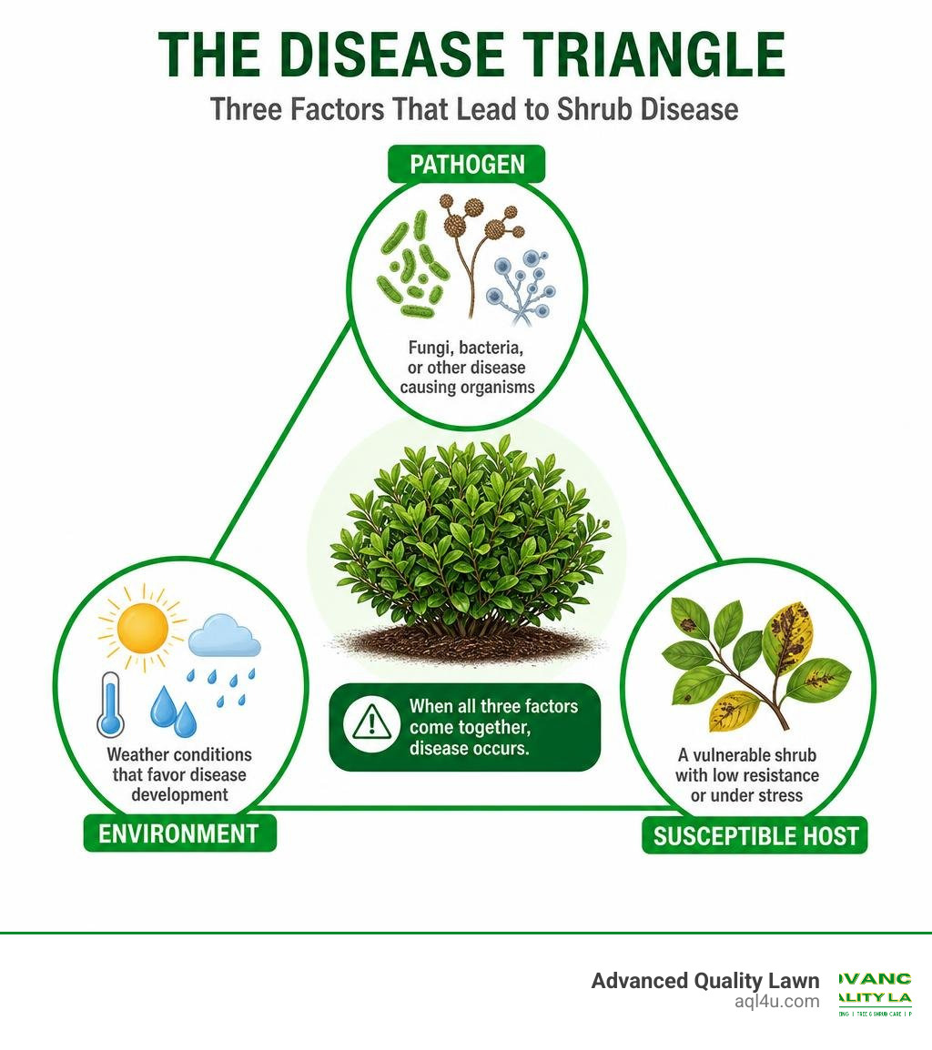 Disease triangle framework showing pathogen, environment, and susceptible host for shrub disease infographic Disease triangle framework showing pathogen, environment, and susceptible host for shrub disease infographic