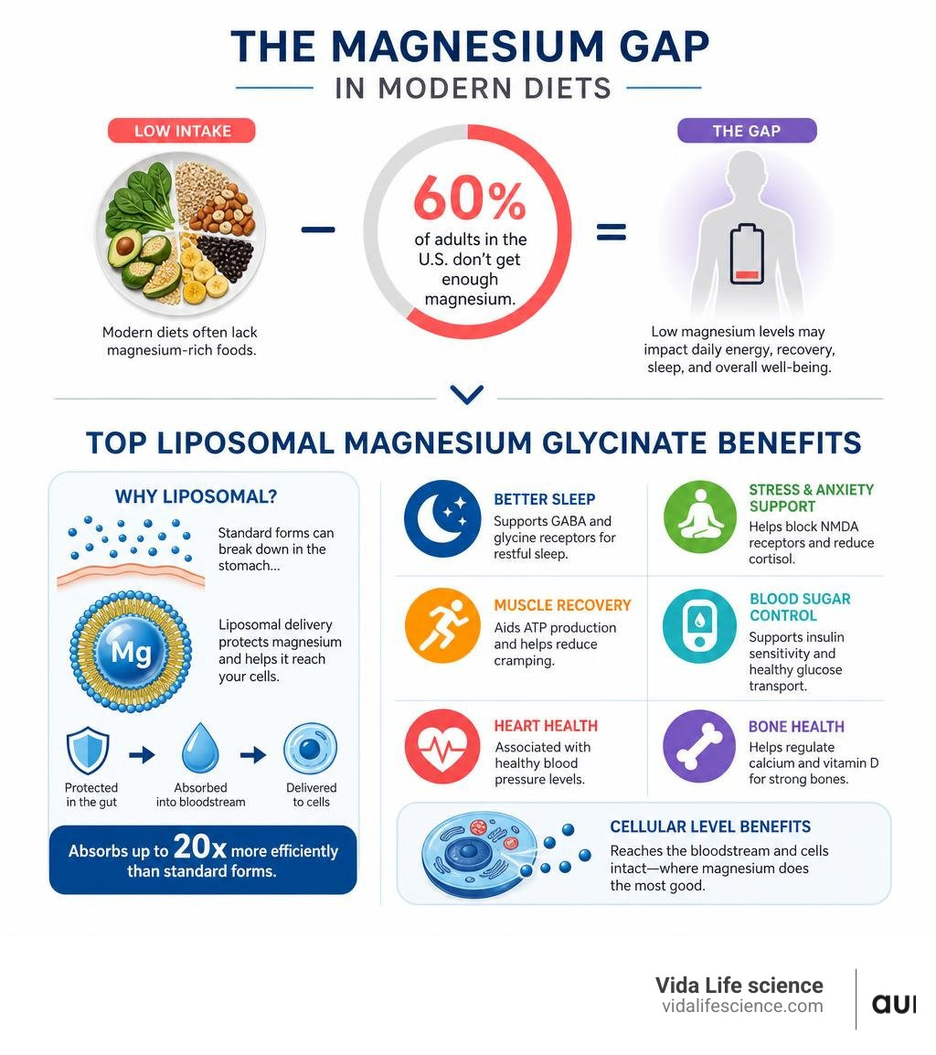 Infographic showing the magnesium gap in modern diets and top liposomal magnesium glycinate benefits infographic Infographic showing the magnesium gap in modern diets and top liposomal magnesium glycinate benefits infographic